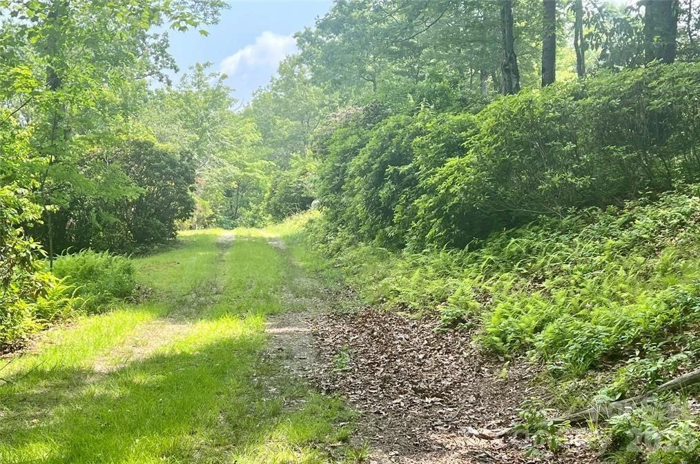 Lot 10 Joshua Road - Photo 3