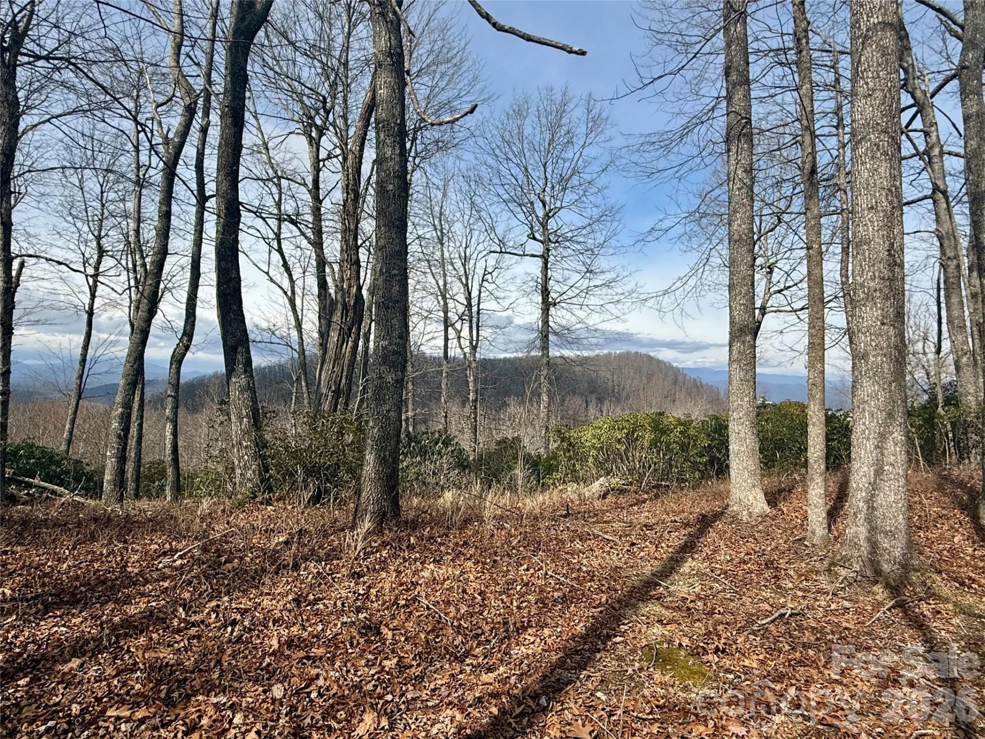 Lot 10 Joshua Road - Photo 27
