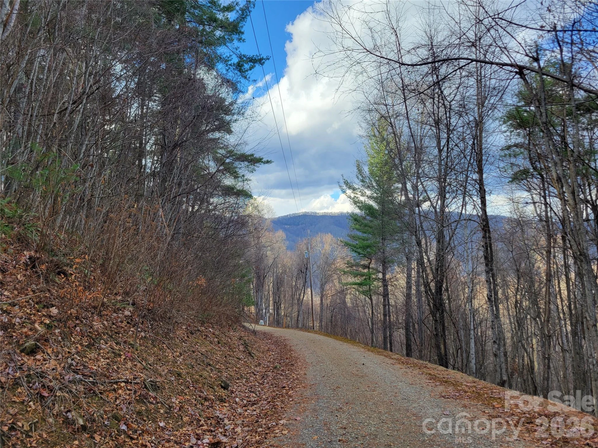 125 Lasso Lane #304 - Photo 14