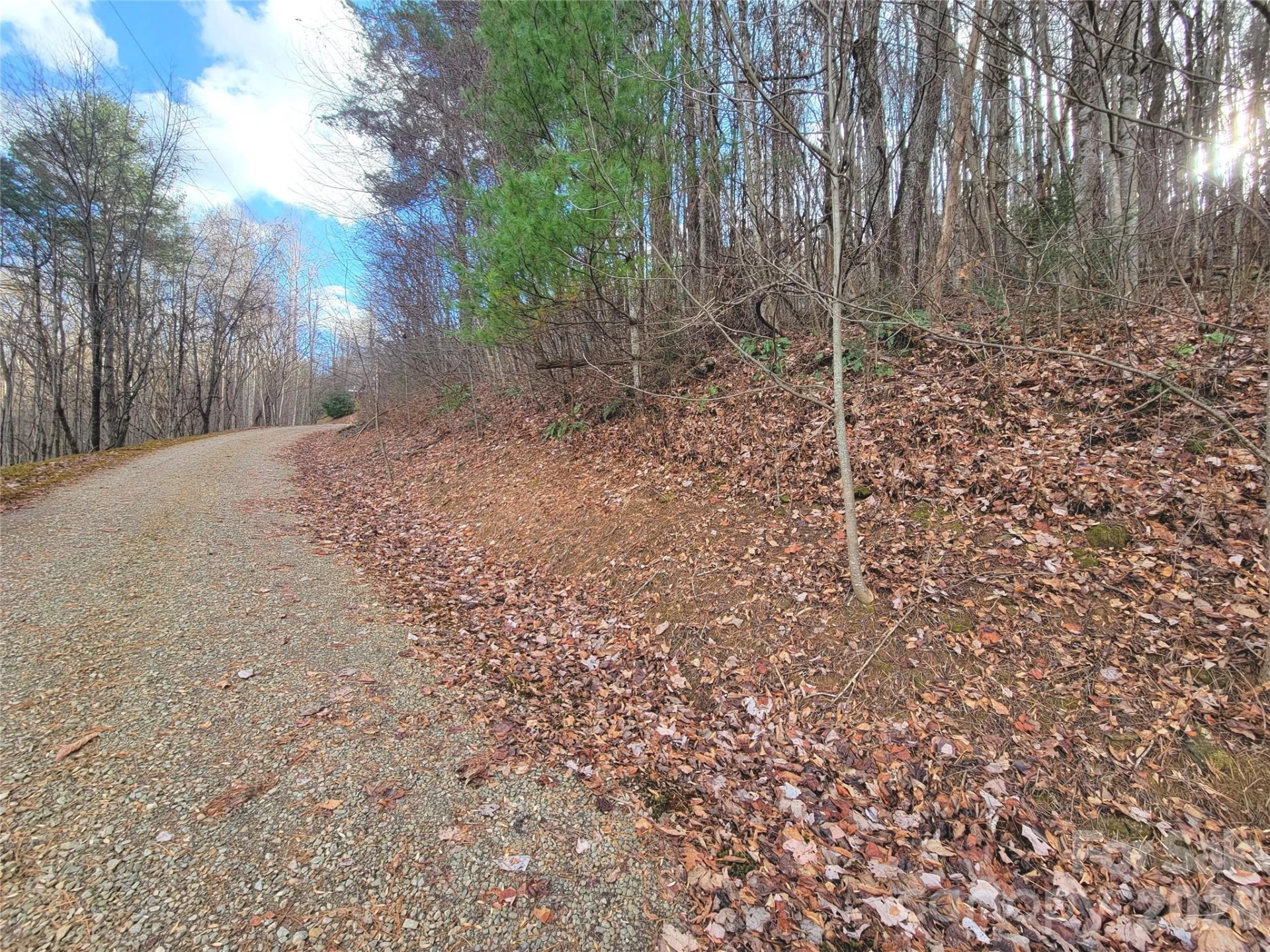 125 Lasso Lane #304 - Photo 7