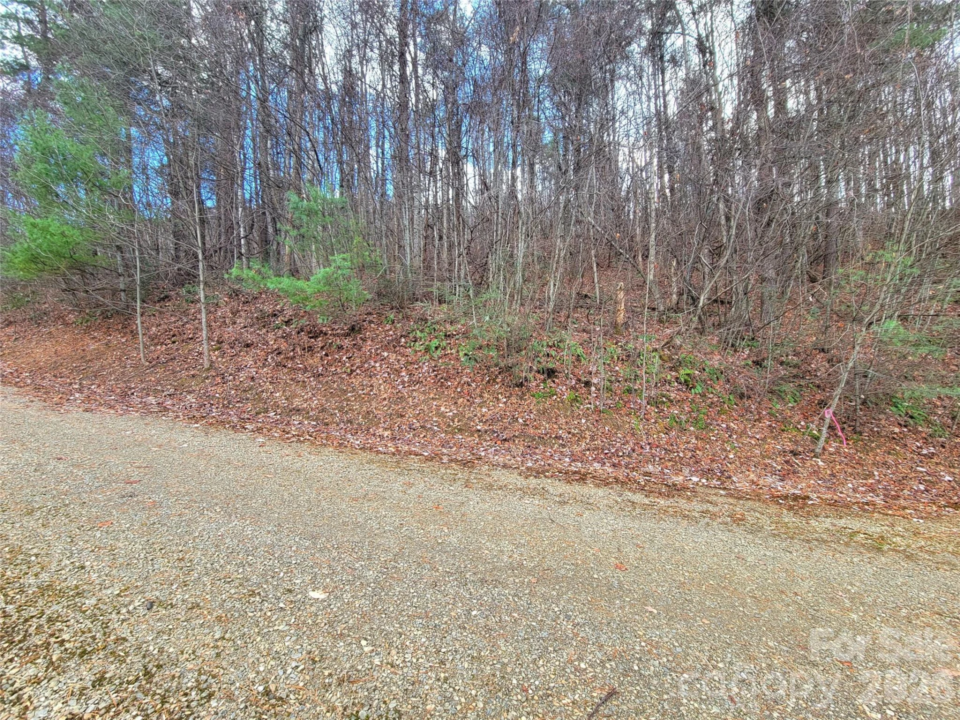 125 Lasso Lane #304 - Photo 2