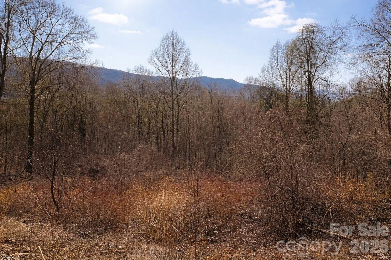 125 Lasso Lane #304 - Photo 11