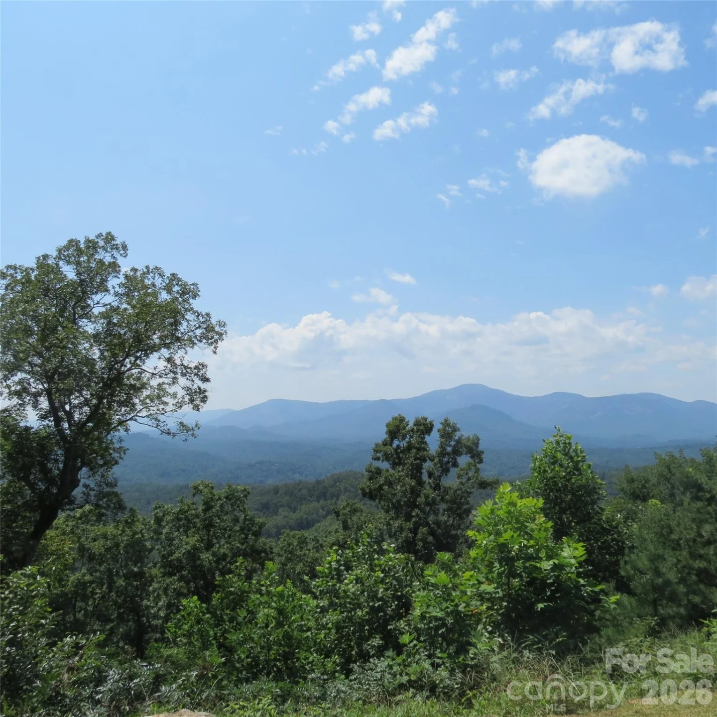 336 Willow Top Lane #336