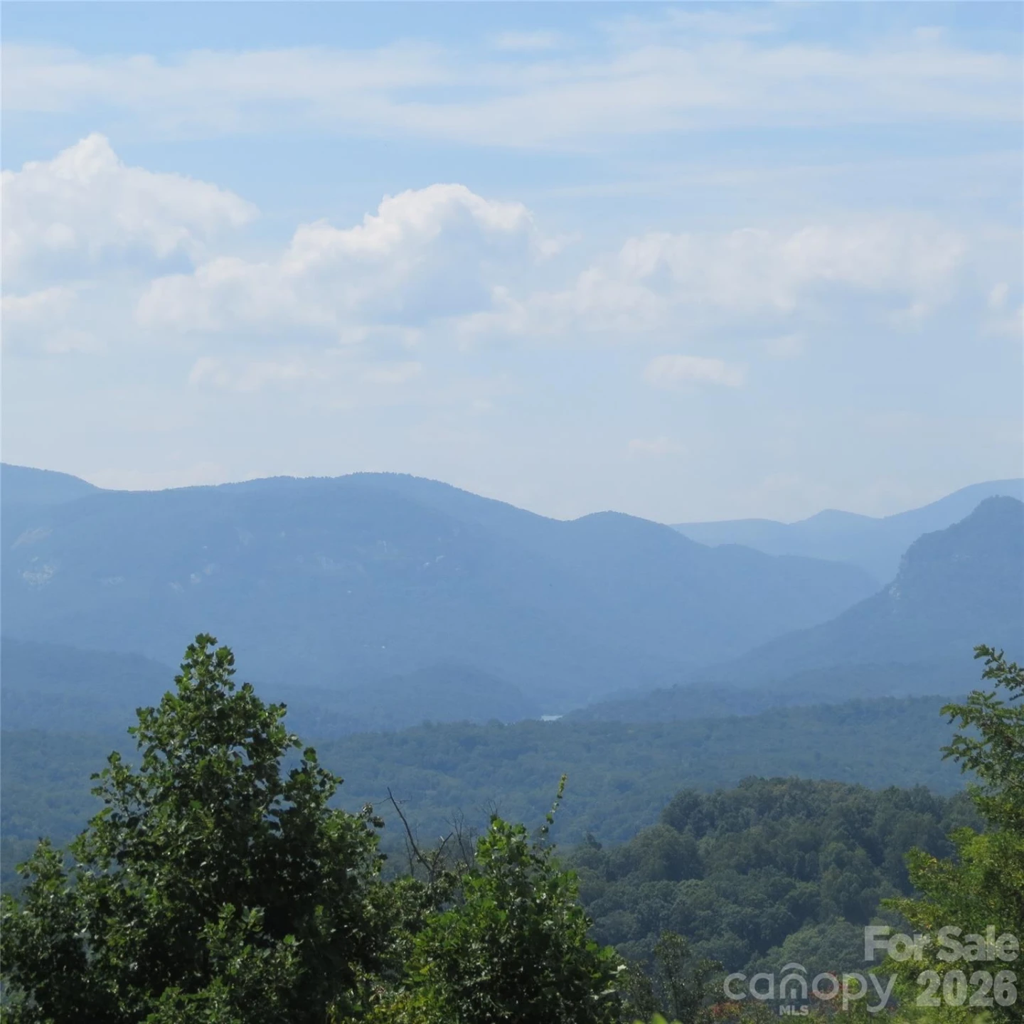 336 Willow Top Lane #336 - Photo 20