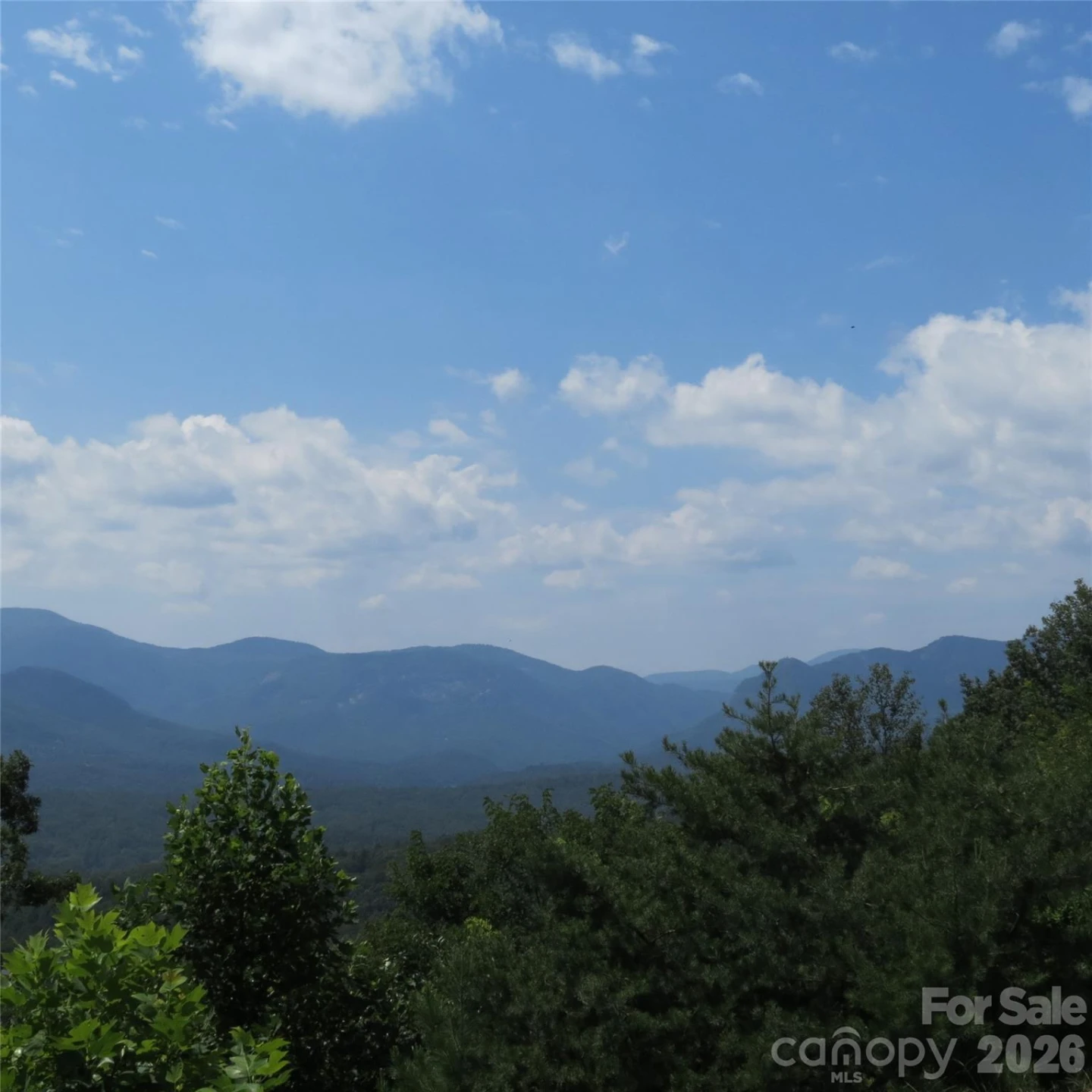 336 Willow Top Lane #336 - Photo 6