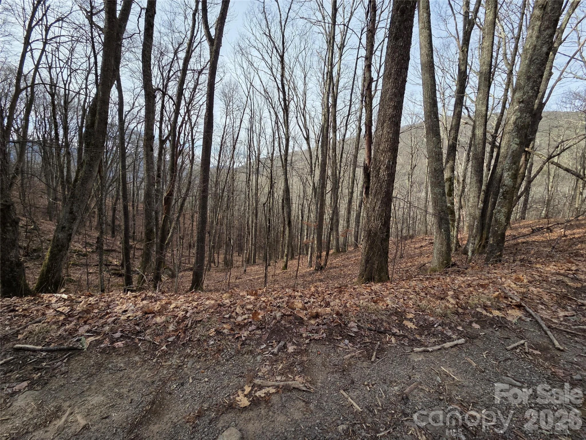 180 Goat House Way - Photo 11