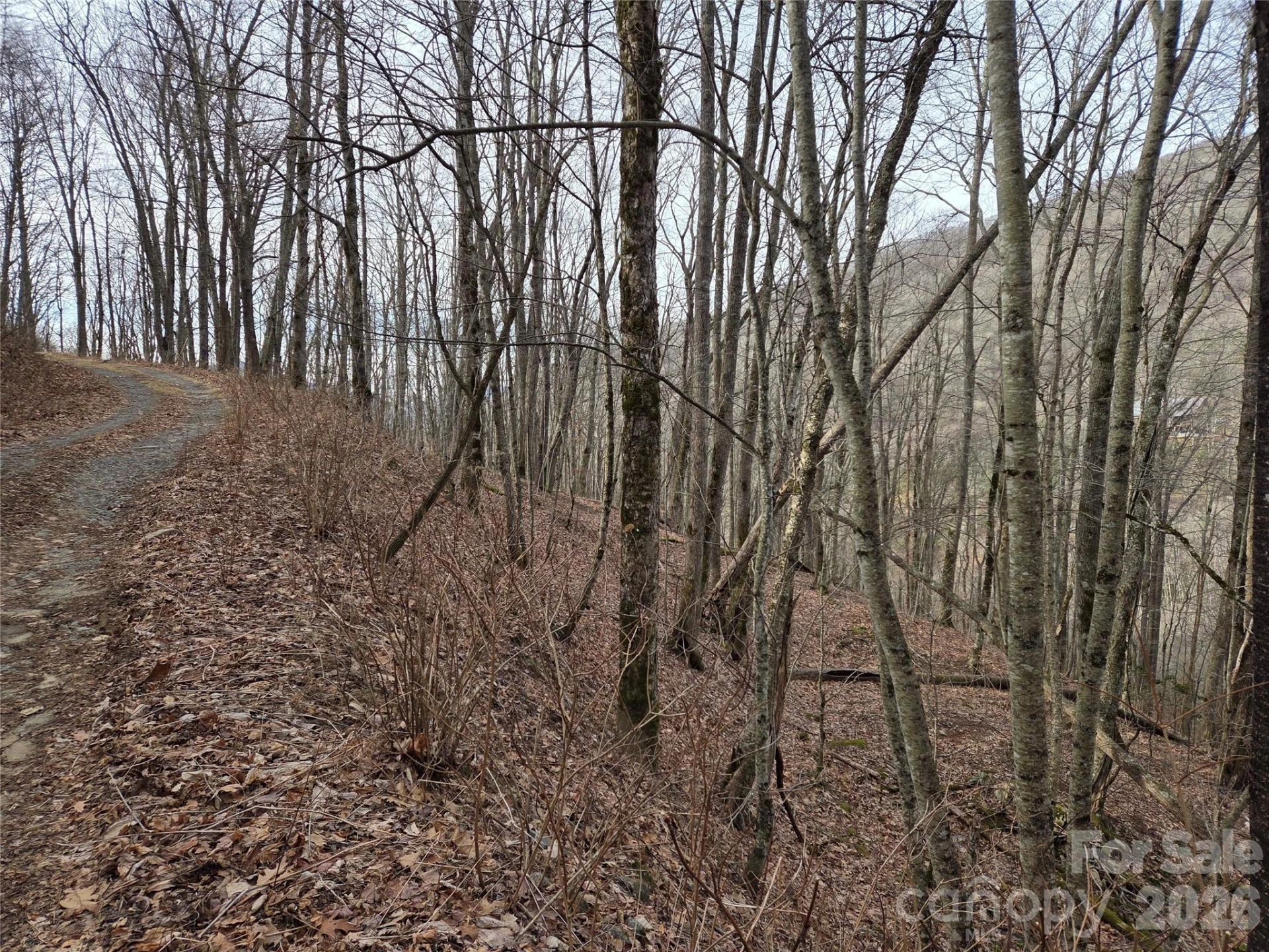 180 Goat House Way - Photo 7