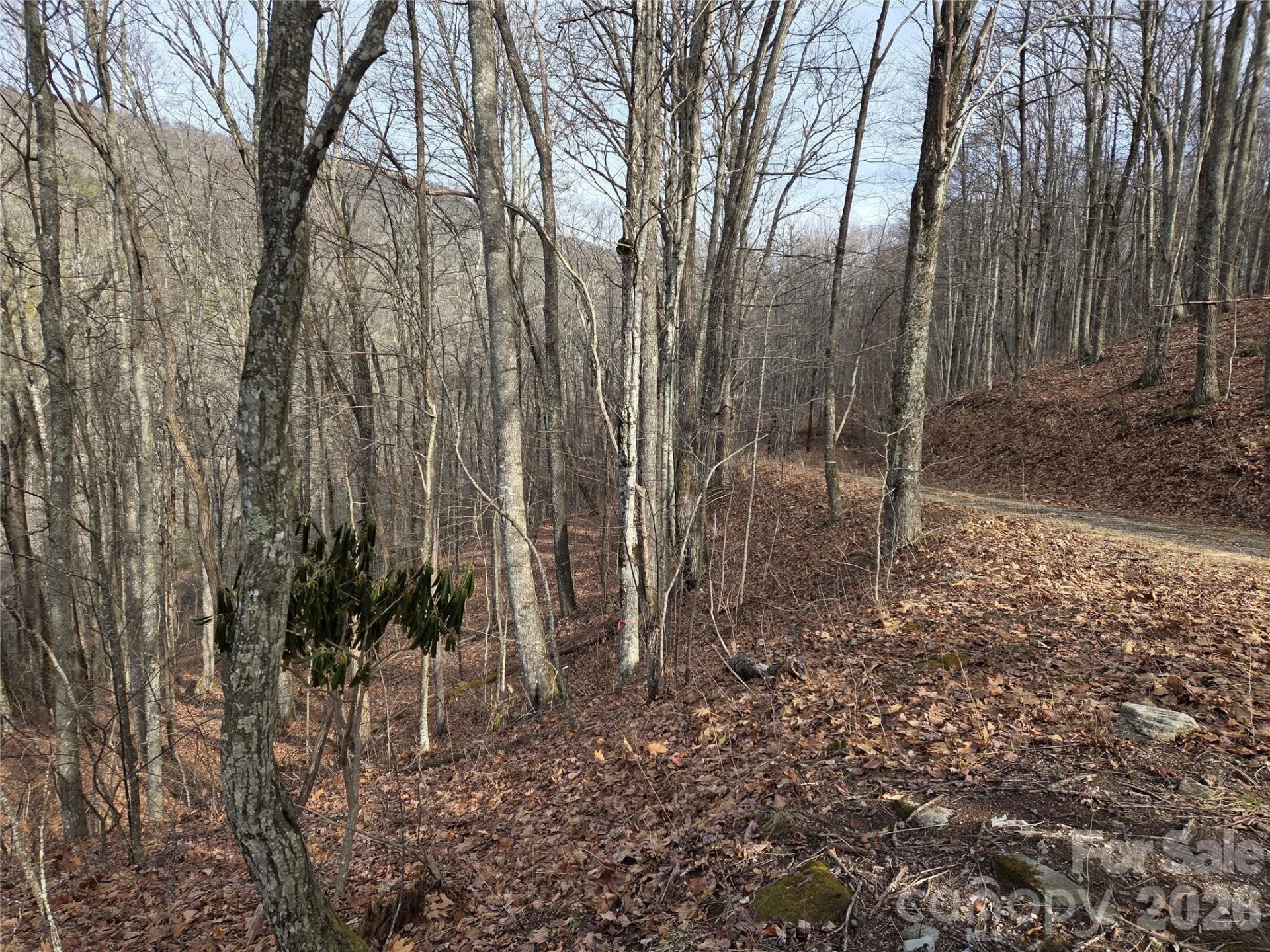 180 Goat House Way - Photo 8