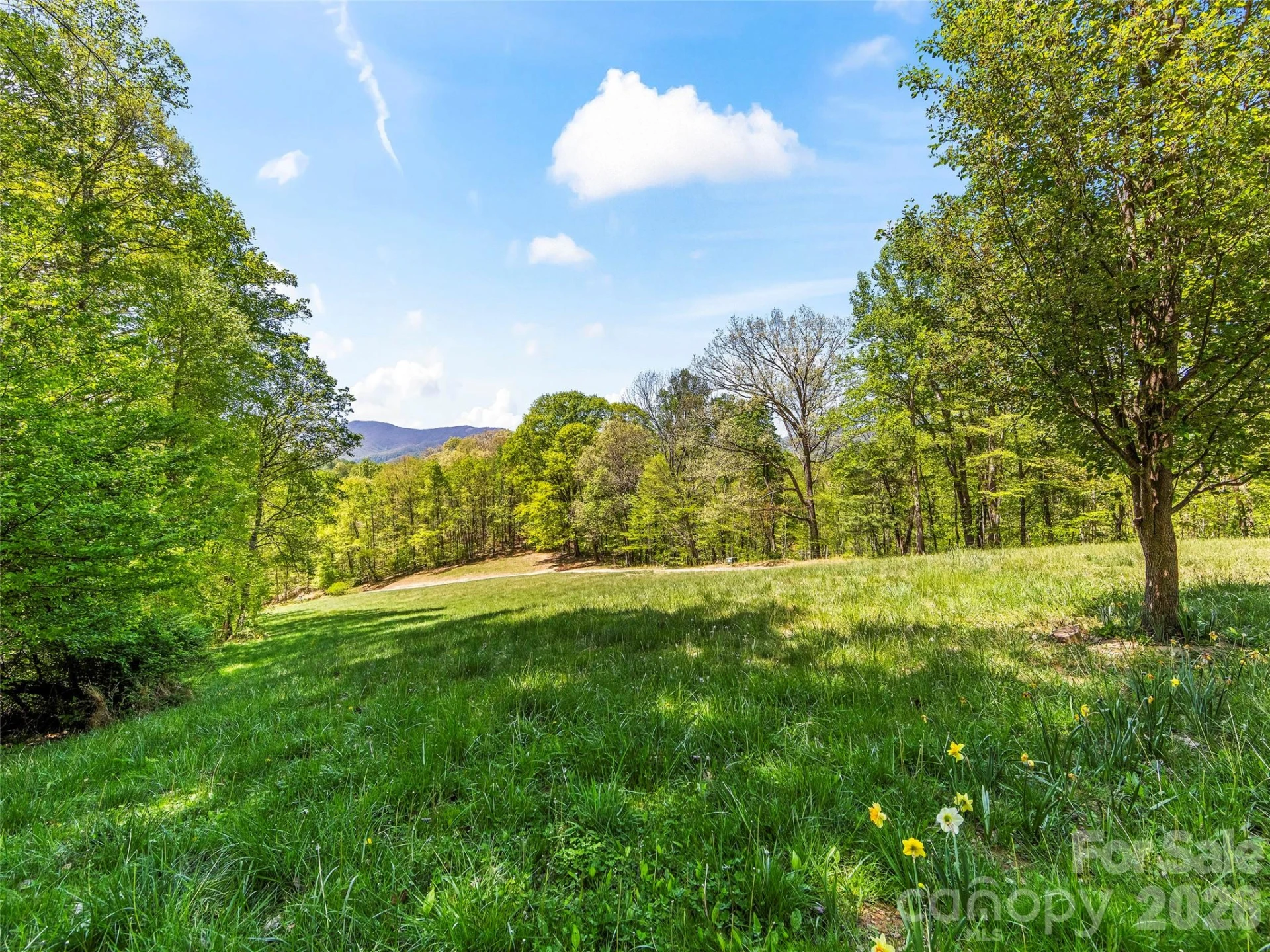 110 Mailon King Road - Photo 29