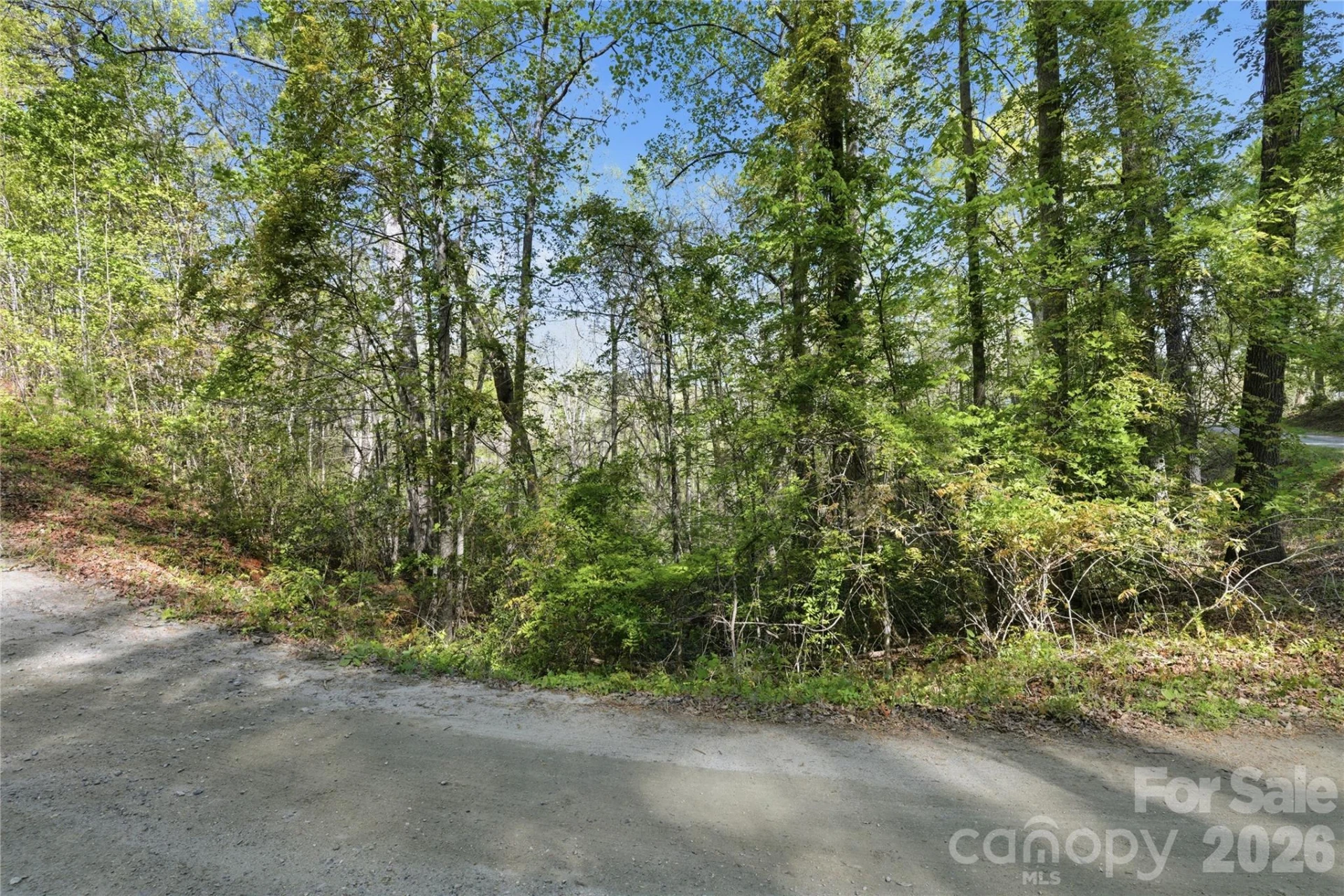 0 Wolf Trail #030 - Photo 4