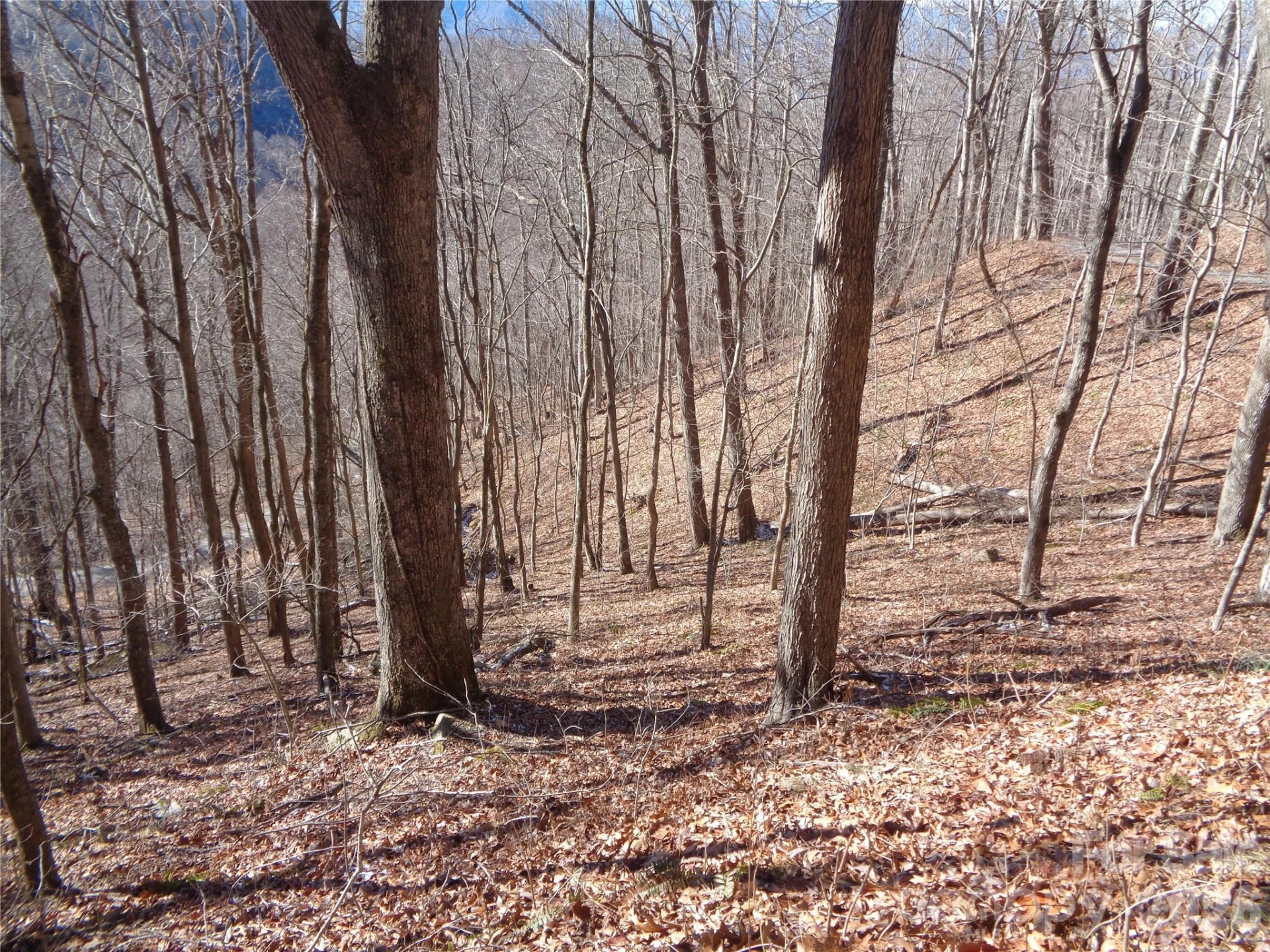 00 Listening Cove #41 - Photo 4
