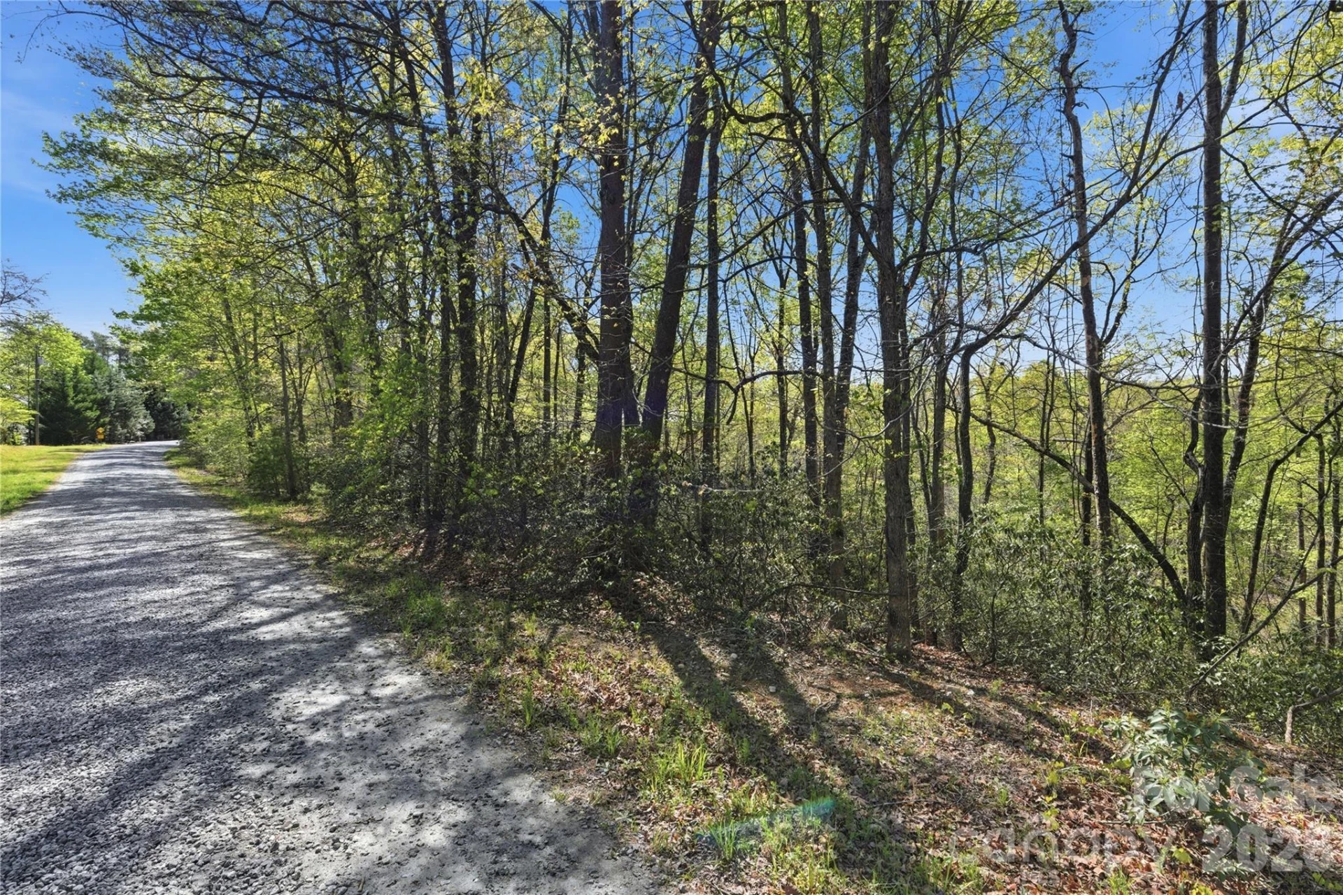 Lot 304 Sanderling Court #304 - Photo 4