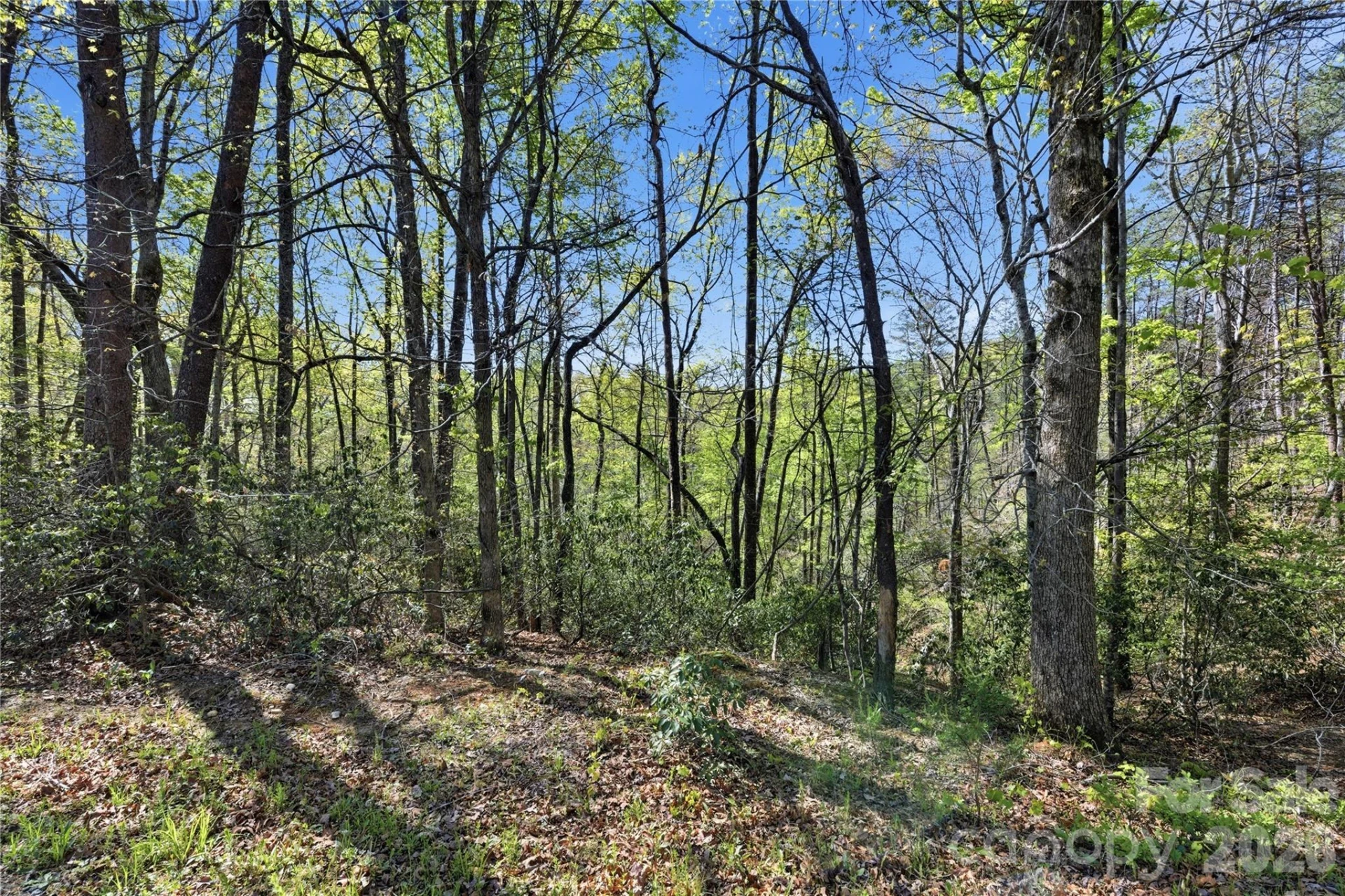 Lot 304 Sanderling Court #304 - Photo 8
