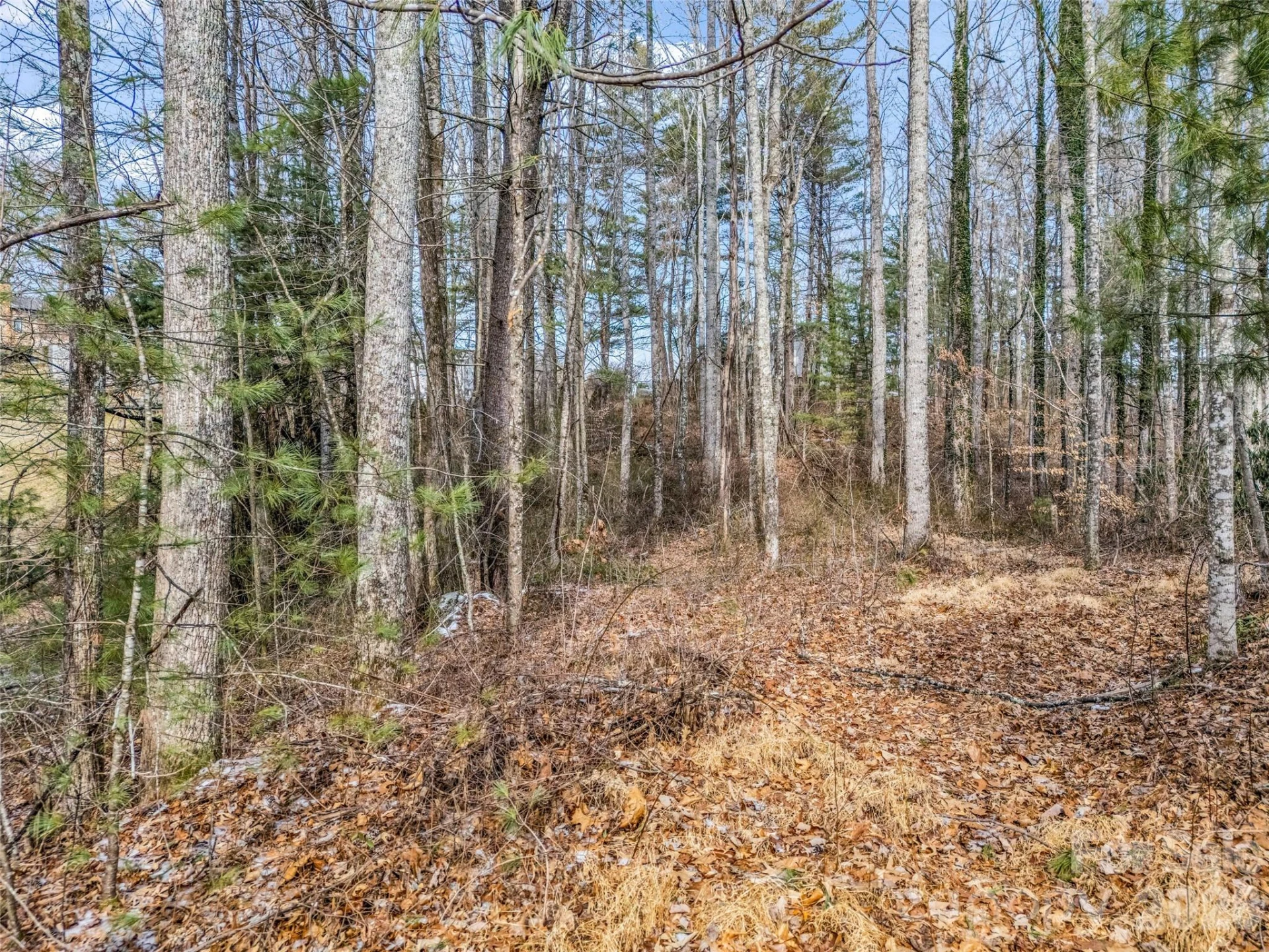 88 Summer Shade Court - Photo 28