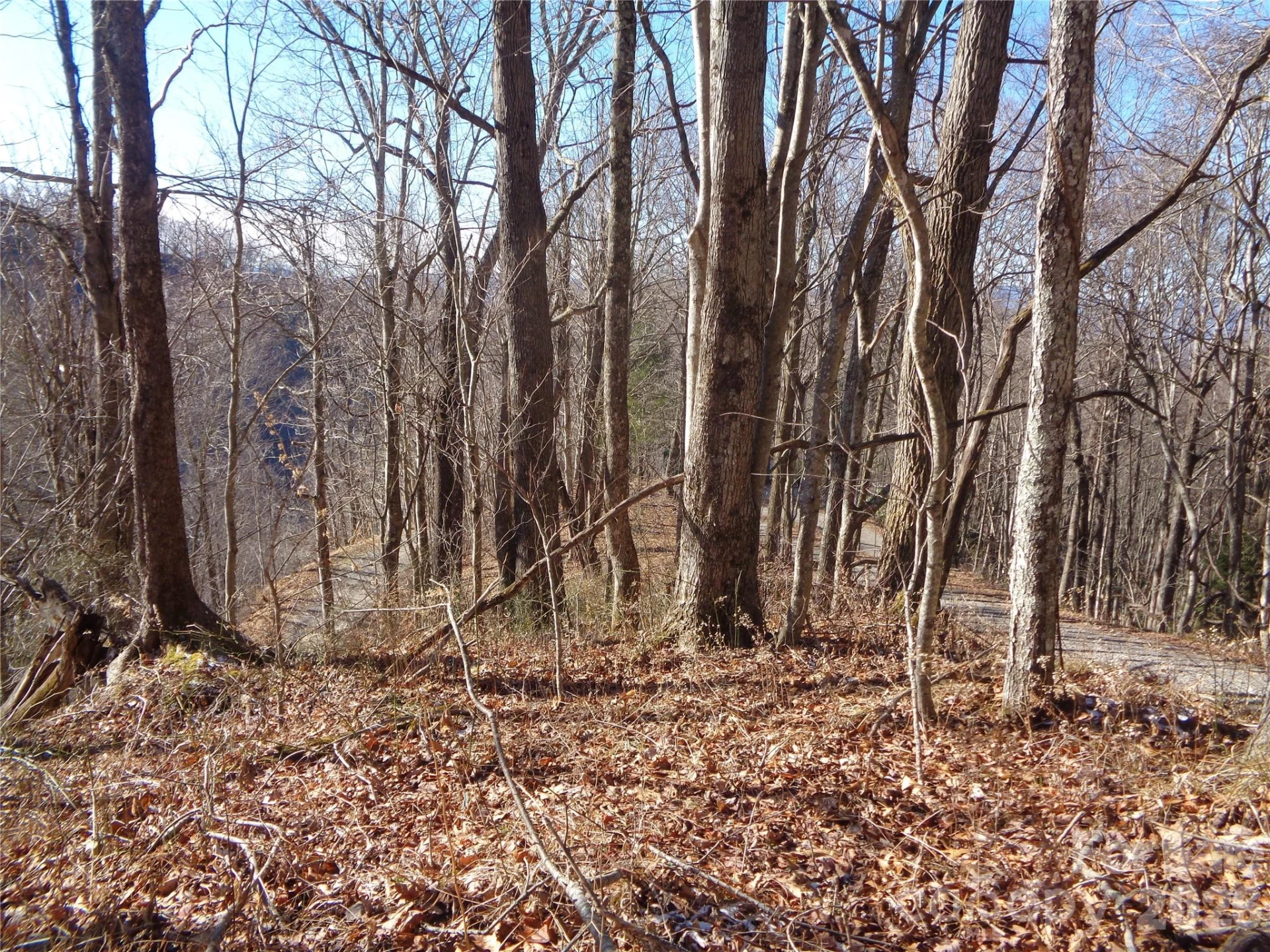 000 Listening Cove #42 - Photo 4