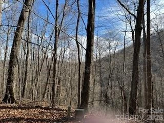 19 Blairstone Lane - Photo 6