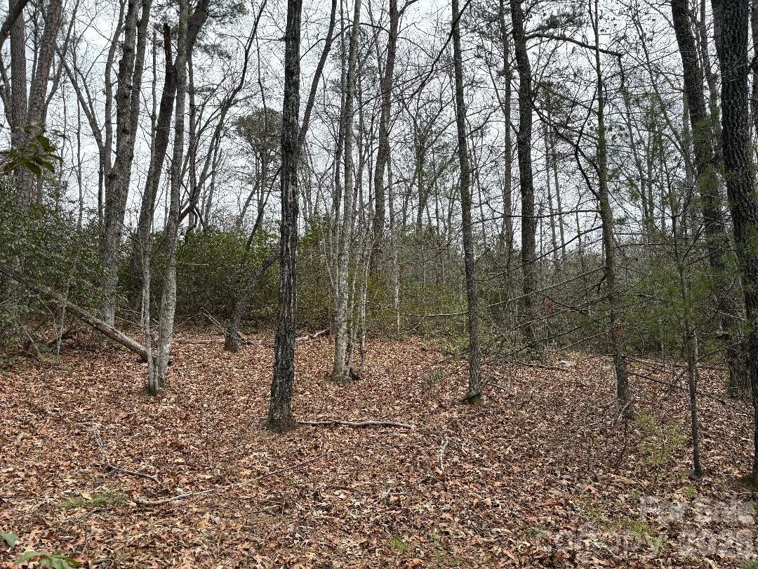 Lot 106 Ravenswood Drive - Photo 3