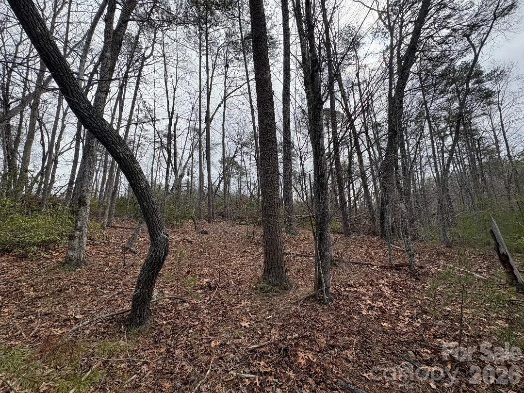 Lot 106 Ravenswood Drive - Photo 5