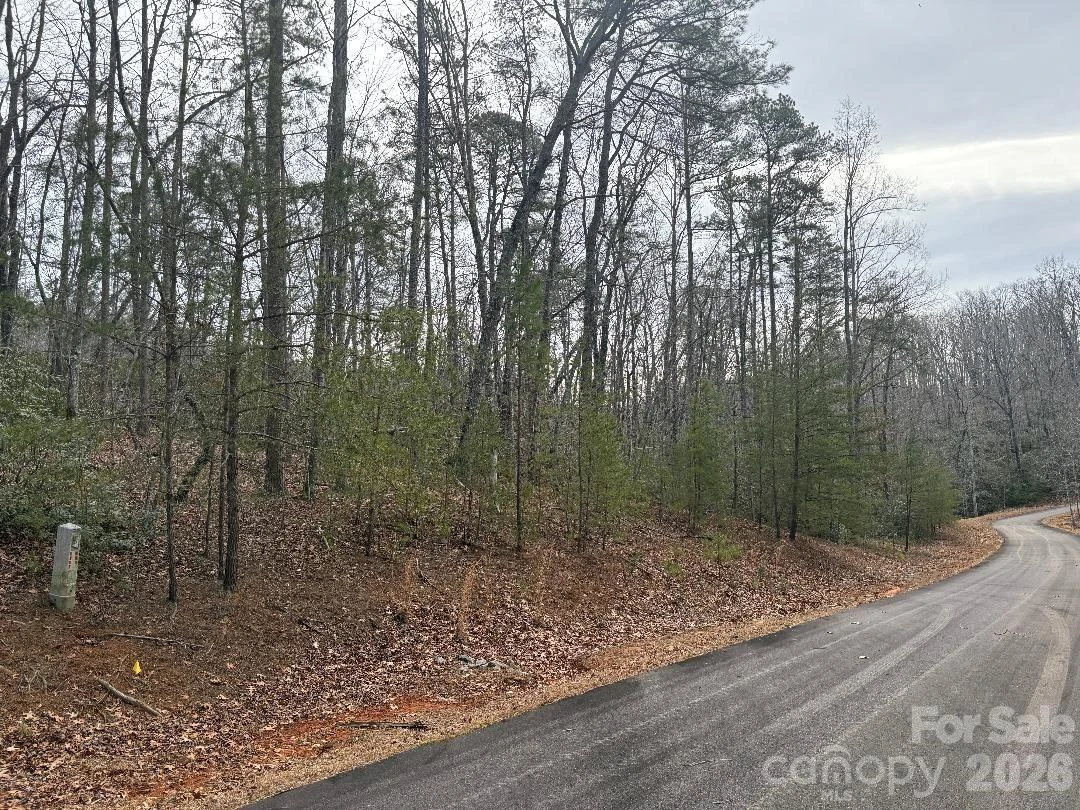 Lot 106 Ravenswood Drive - Photo 6
