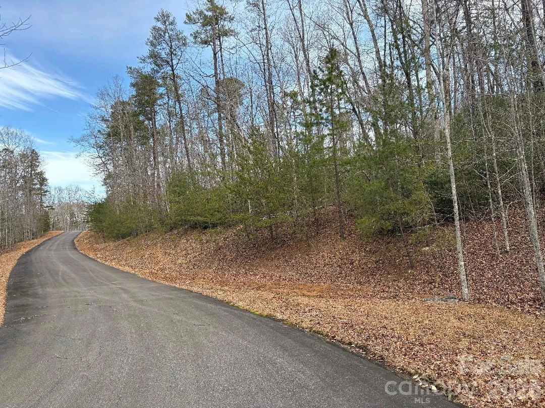 Lot 106 Ravenswood Drive - Photo 7