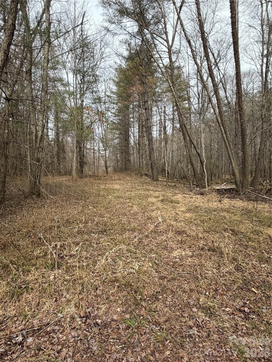 000 Valley Green Drive - Photo 27