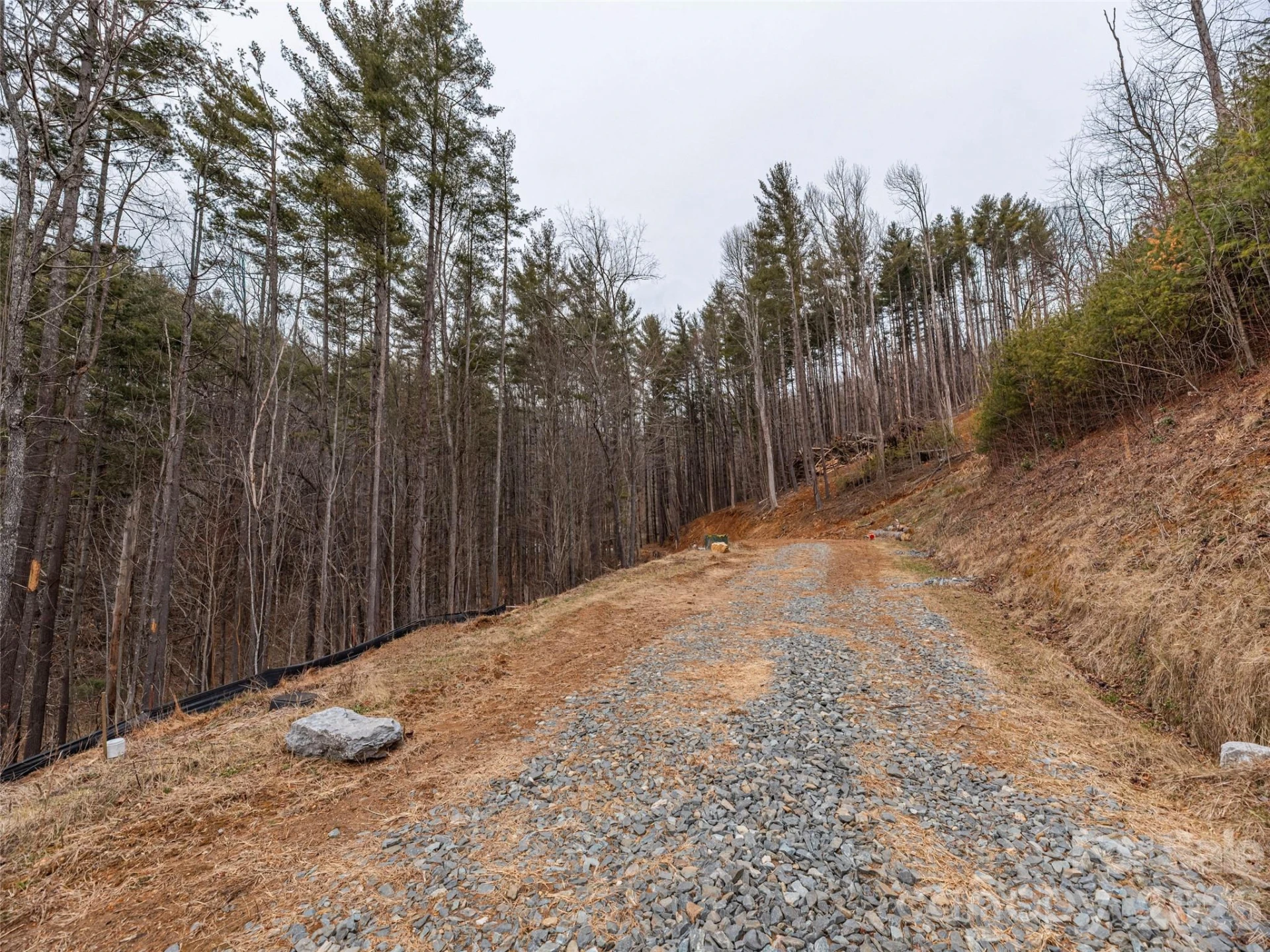 9 Freshwater Cove - Photo 2