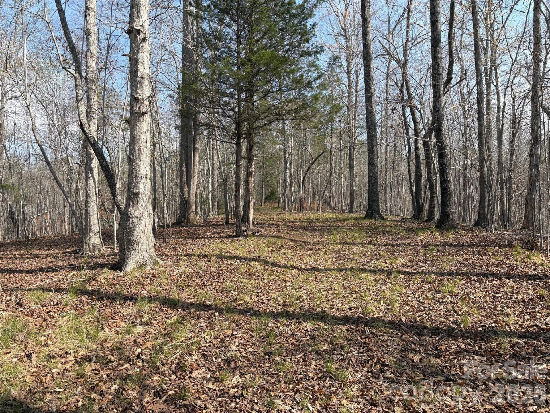 0 Valley Drive #142 - Photo 5