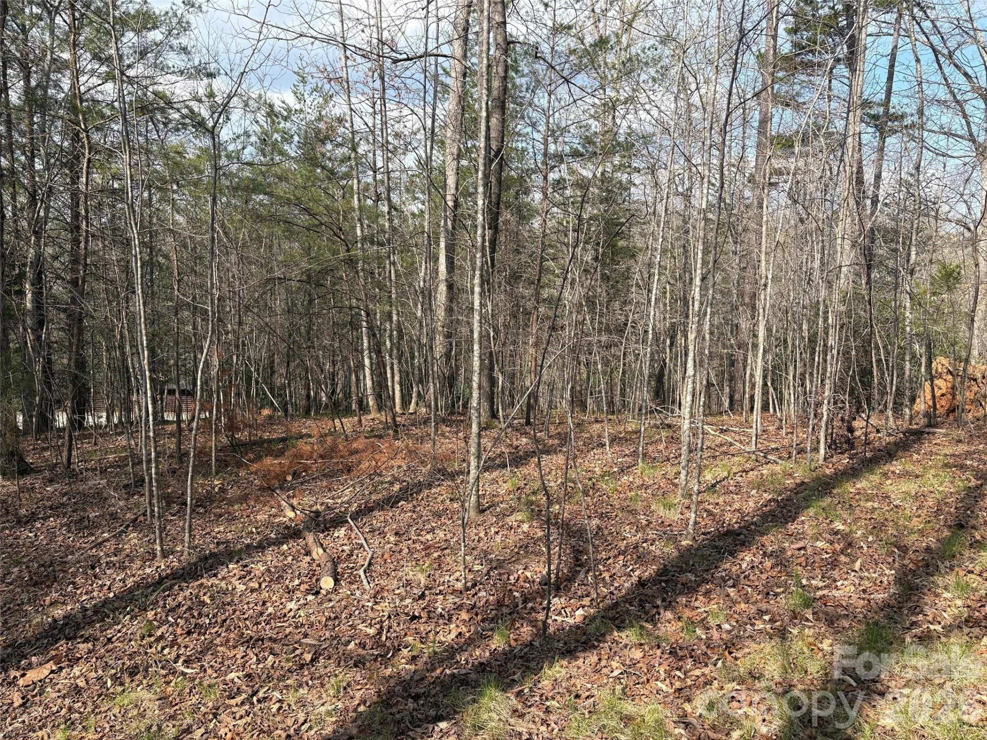 0 Valley Drive #142 - Photo 6