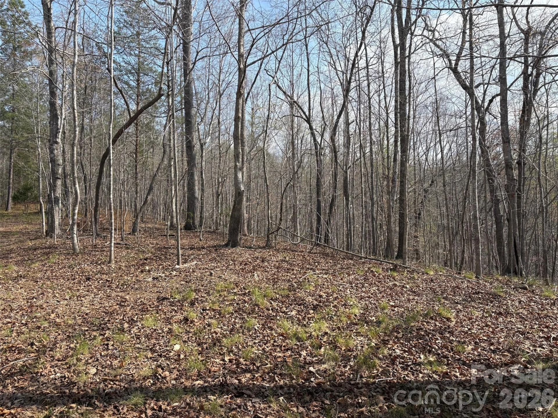 0 Valley Drive #142 - Photo 7