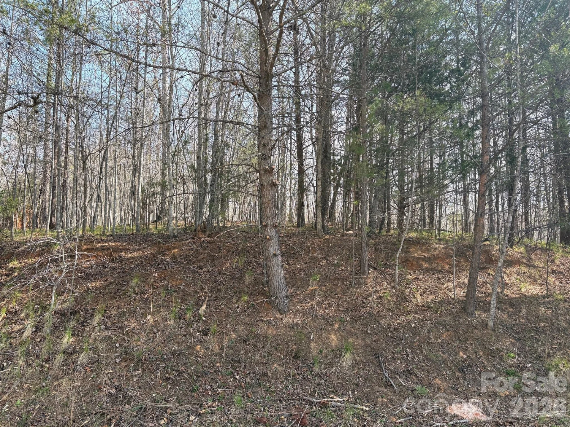 0 Valley Drive #142 - Photo 9