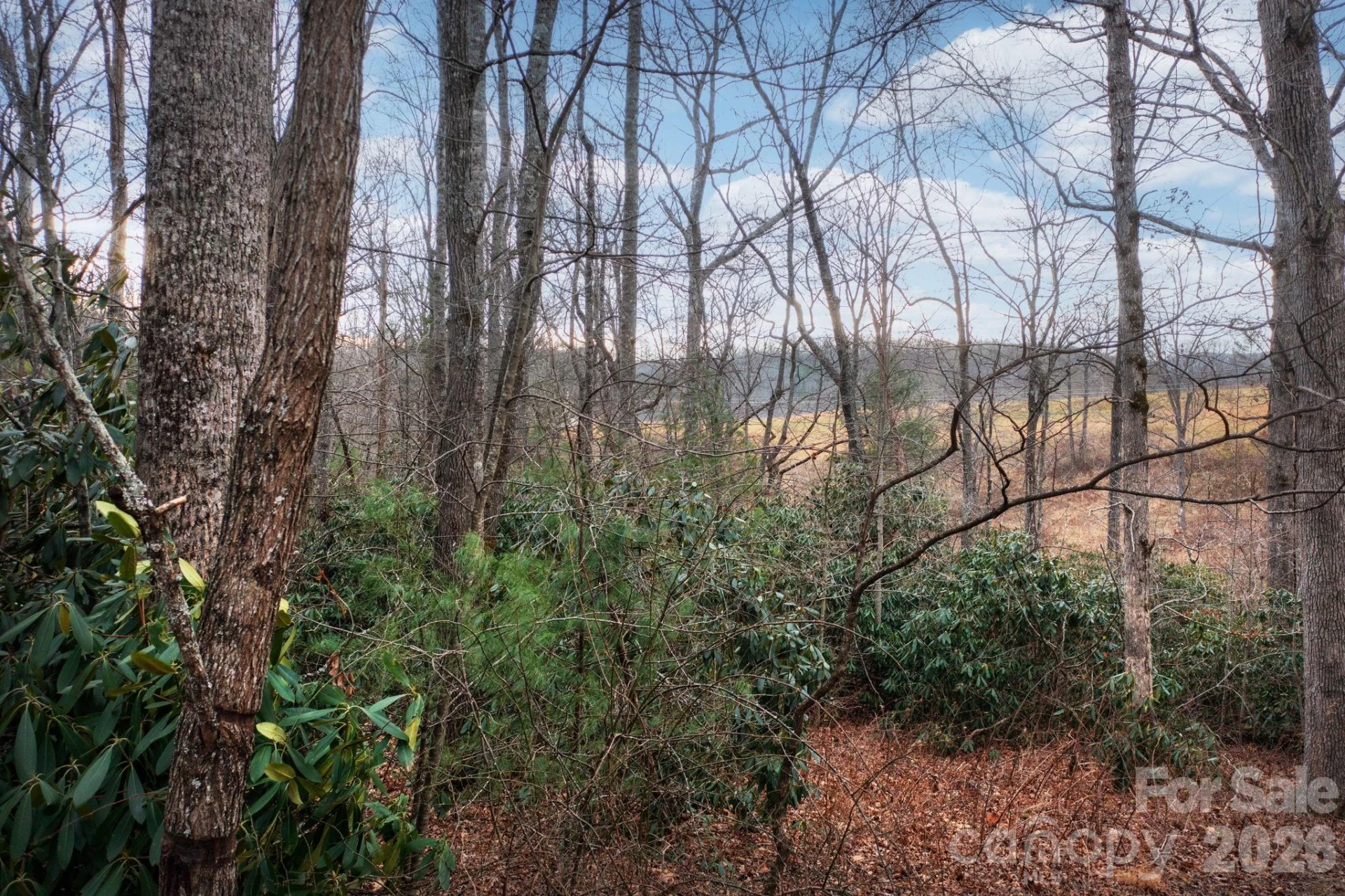 38 Gollum Drive - Photo 2