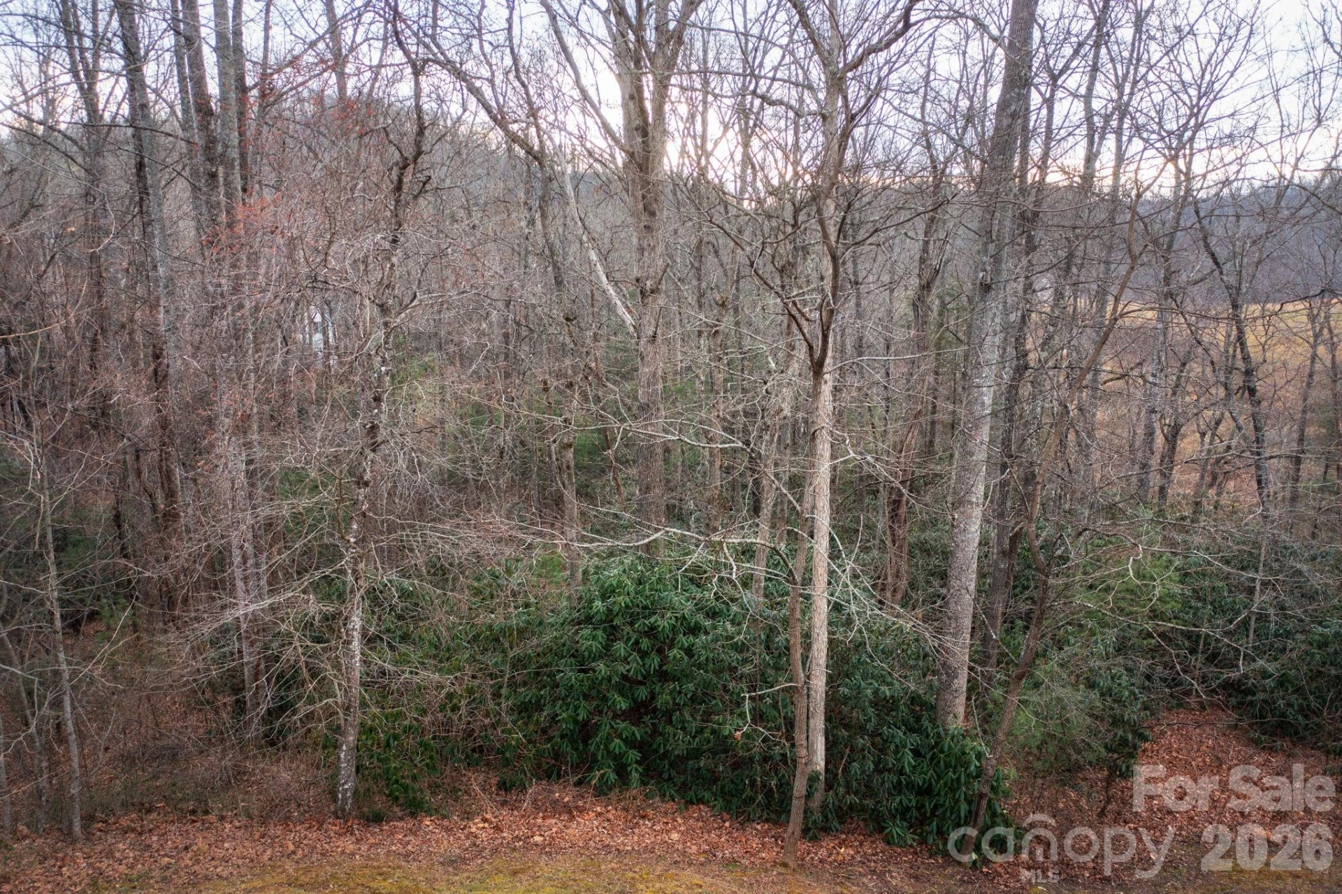 38 Gollum Drive - Photo 3
