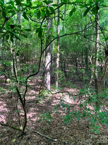 6 Double Creek Road, Brevard, NC, 28712