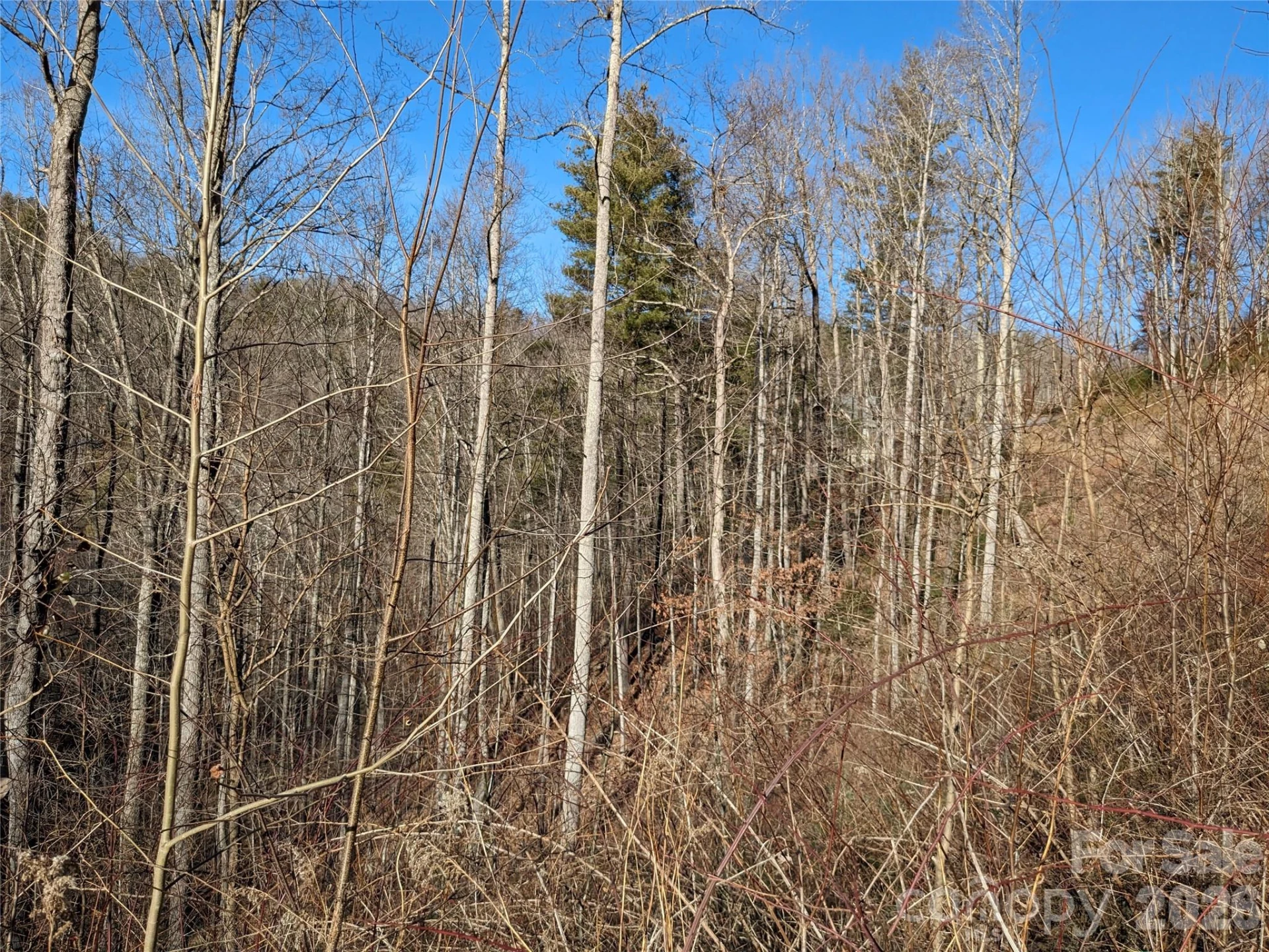 27 Bent Branch Lane #10 - Photo 11