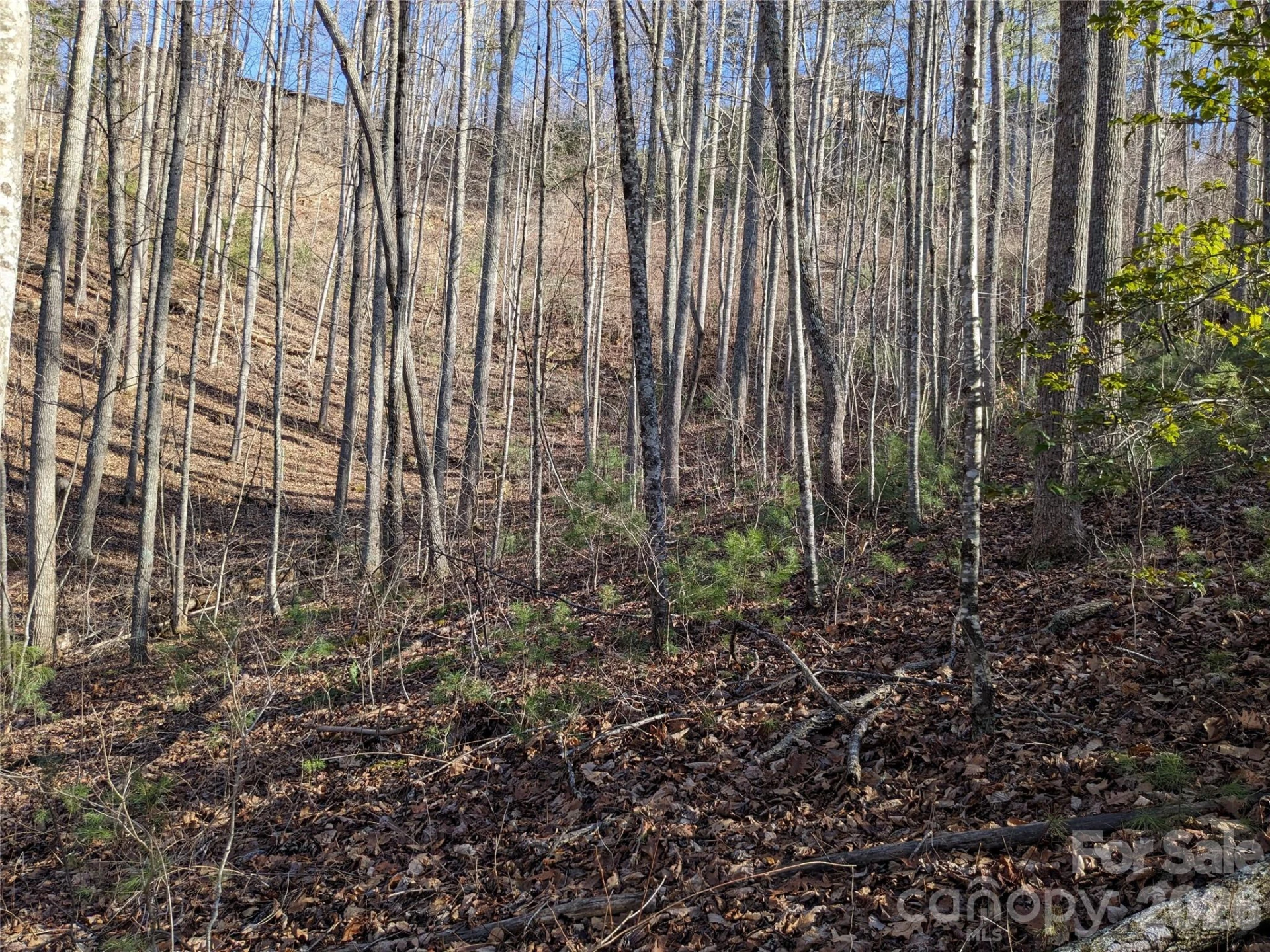 27 Bent Branch Lane #10 - Photo 12
