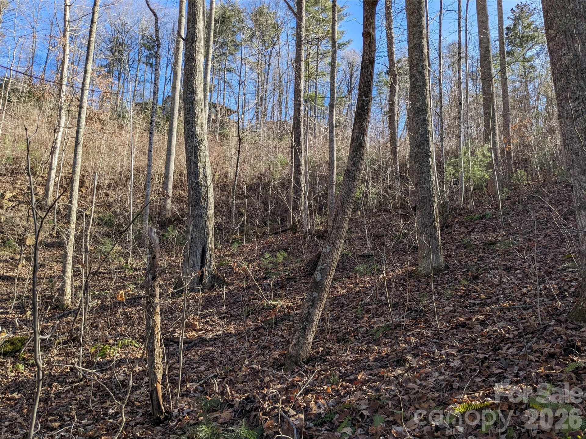 27 Bent Branch Lane #10 - Photo 14