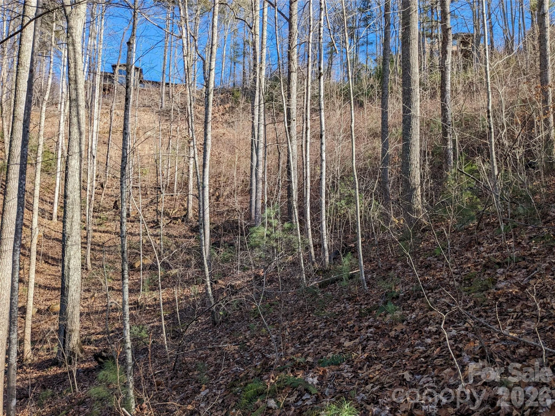 27 Bent Branch Lane #10 - Photo 15