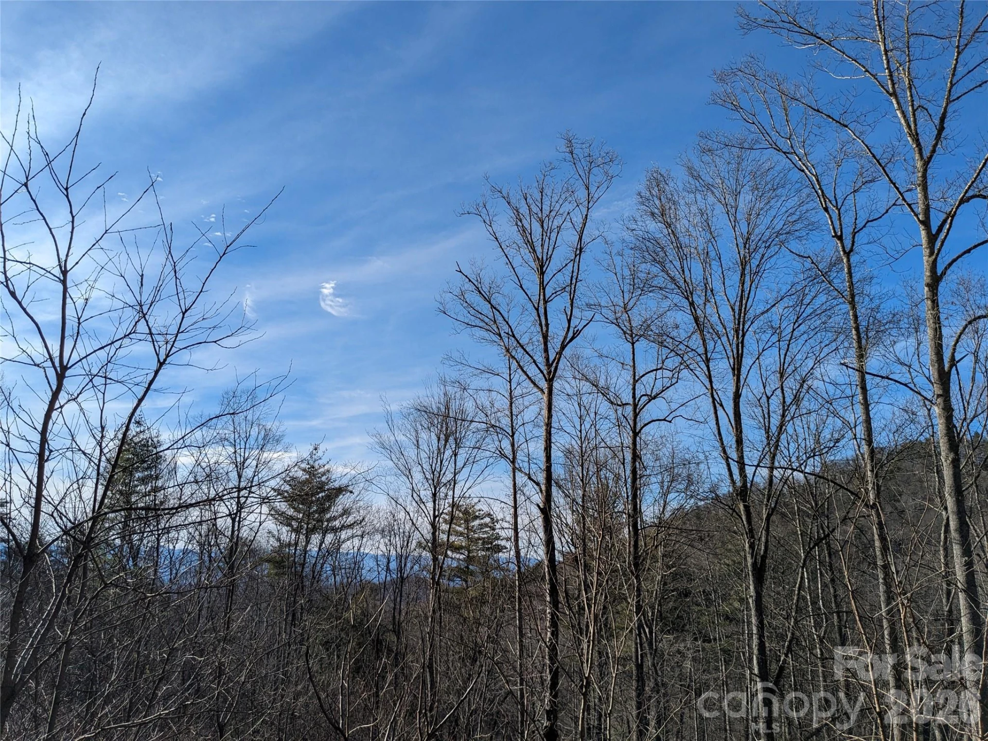 27 Bent Branch Lane #10 - Photo 17