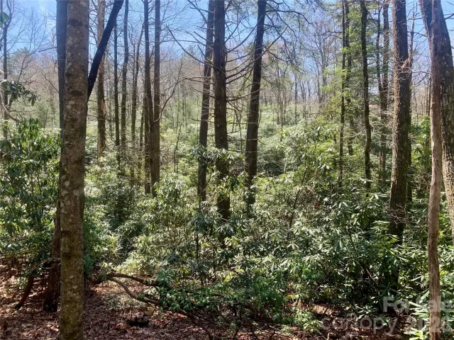Lot 20A Indian Lake Road, Lake Toxaway, NC, 28747