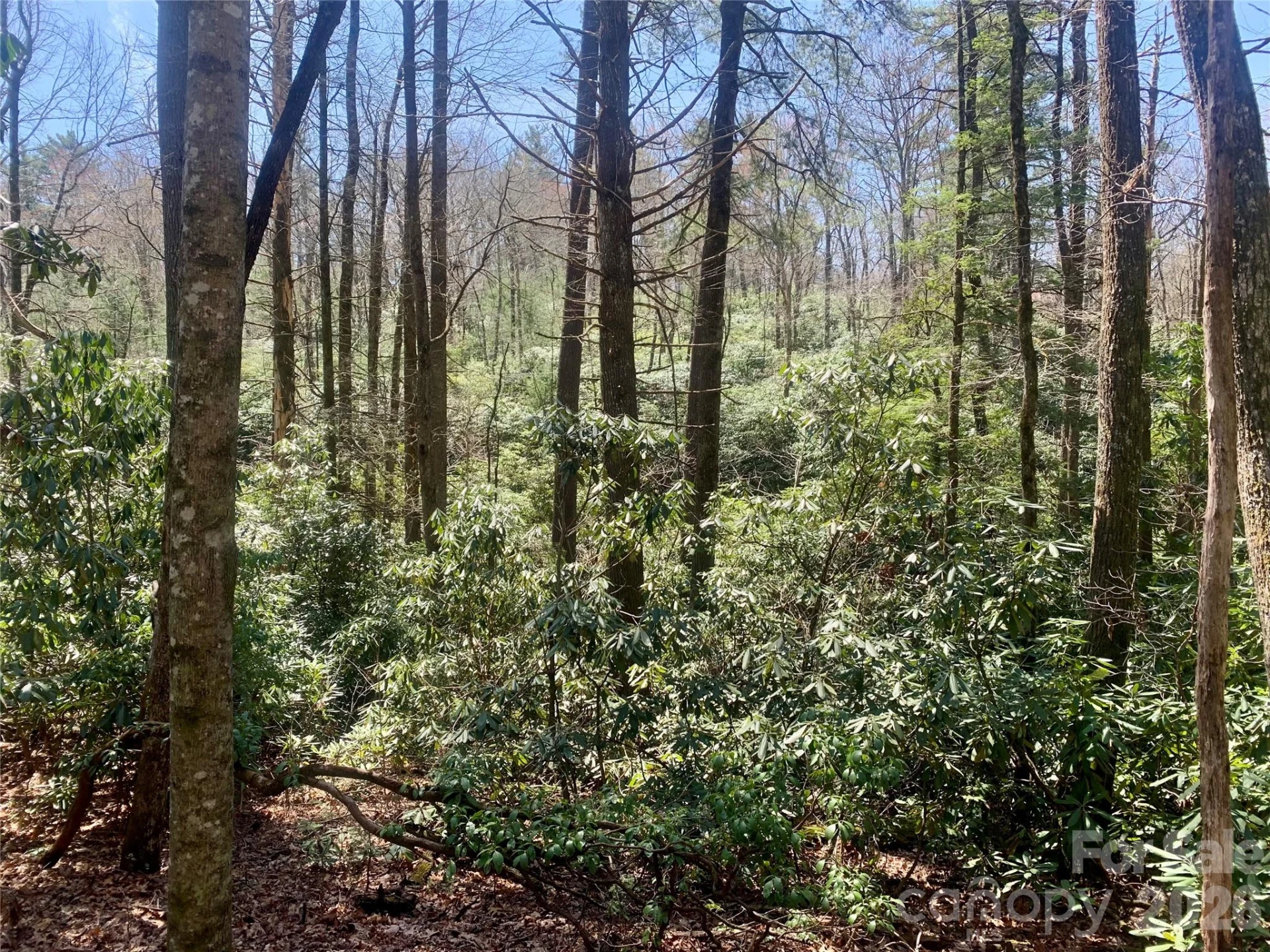 Lot 20A Indian Lake Road #20A