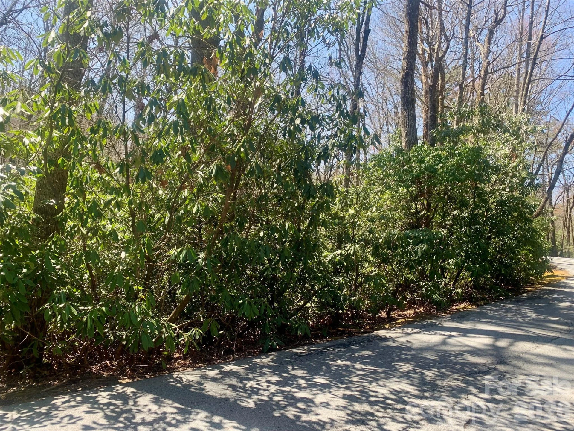 Lot 20A Indian Lake Road #20A - Photo 2
