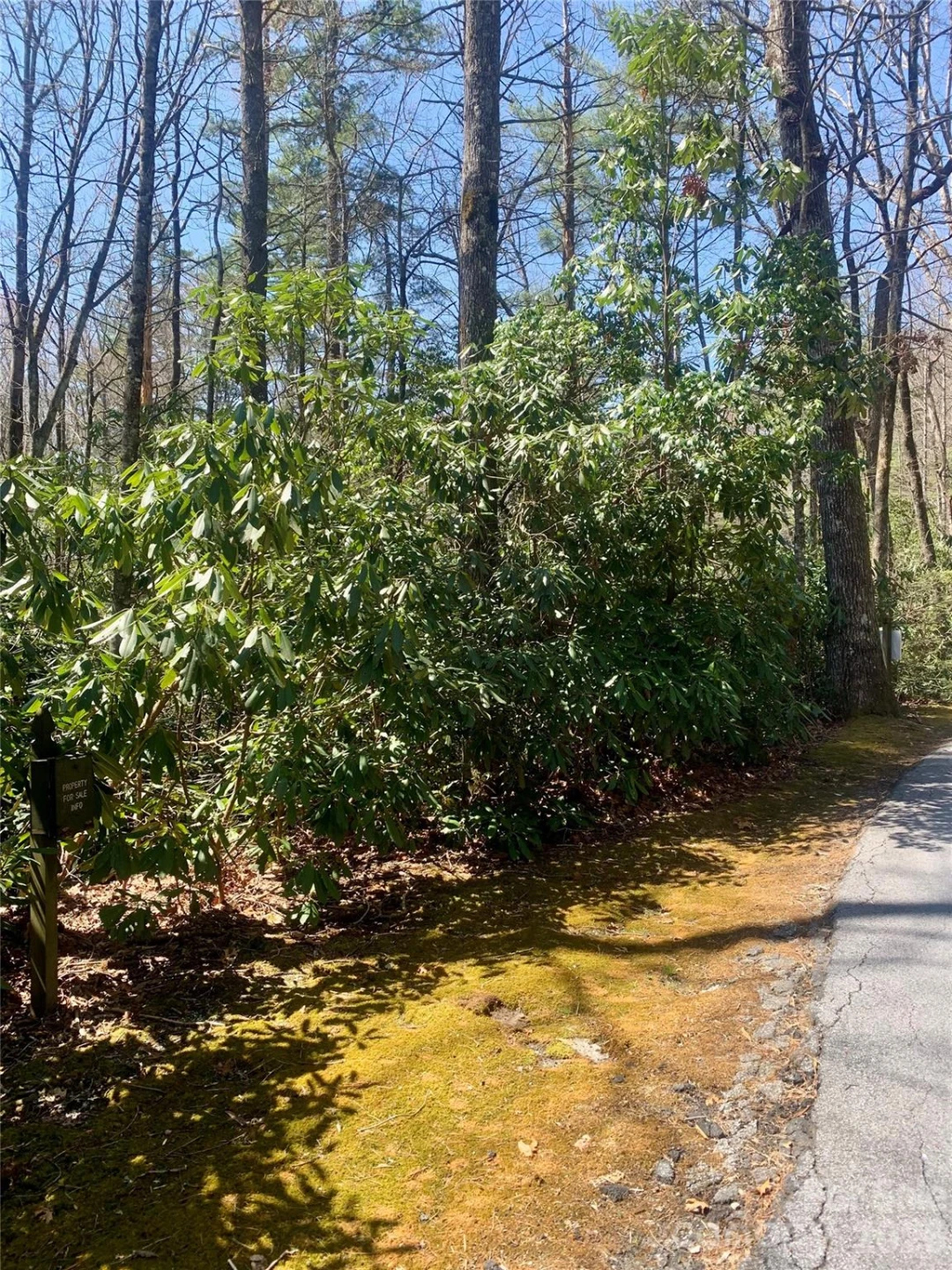 Lot 20A Indian Lake Road #20A - Photo 6