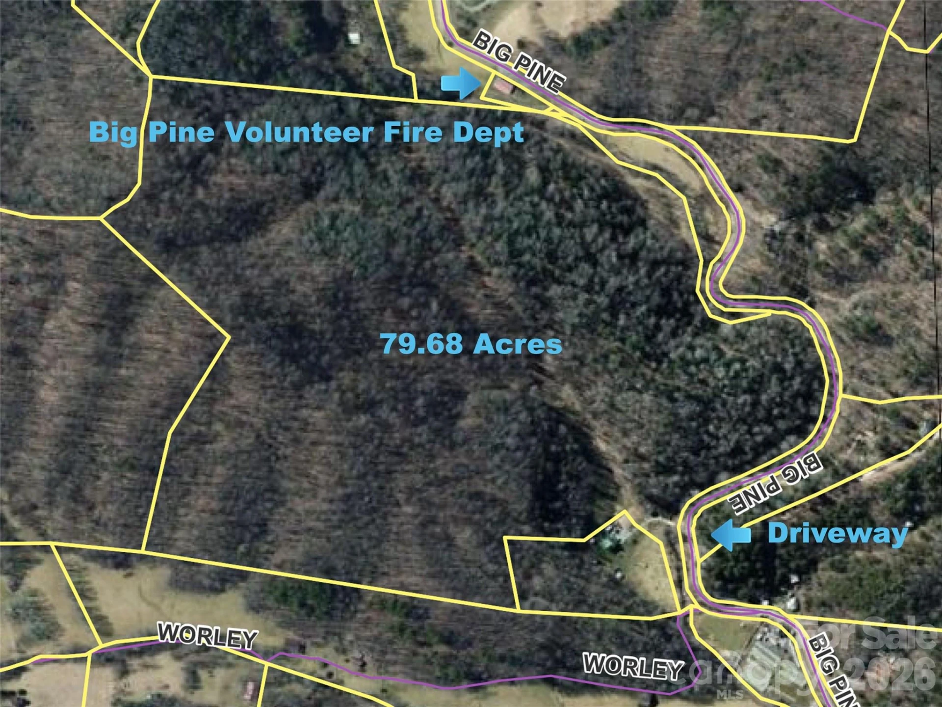 7385 Big Pine Road - Photo 3