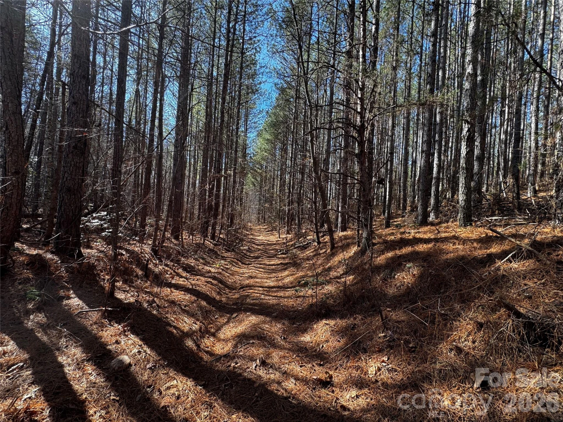 0 Painters Gap Road