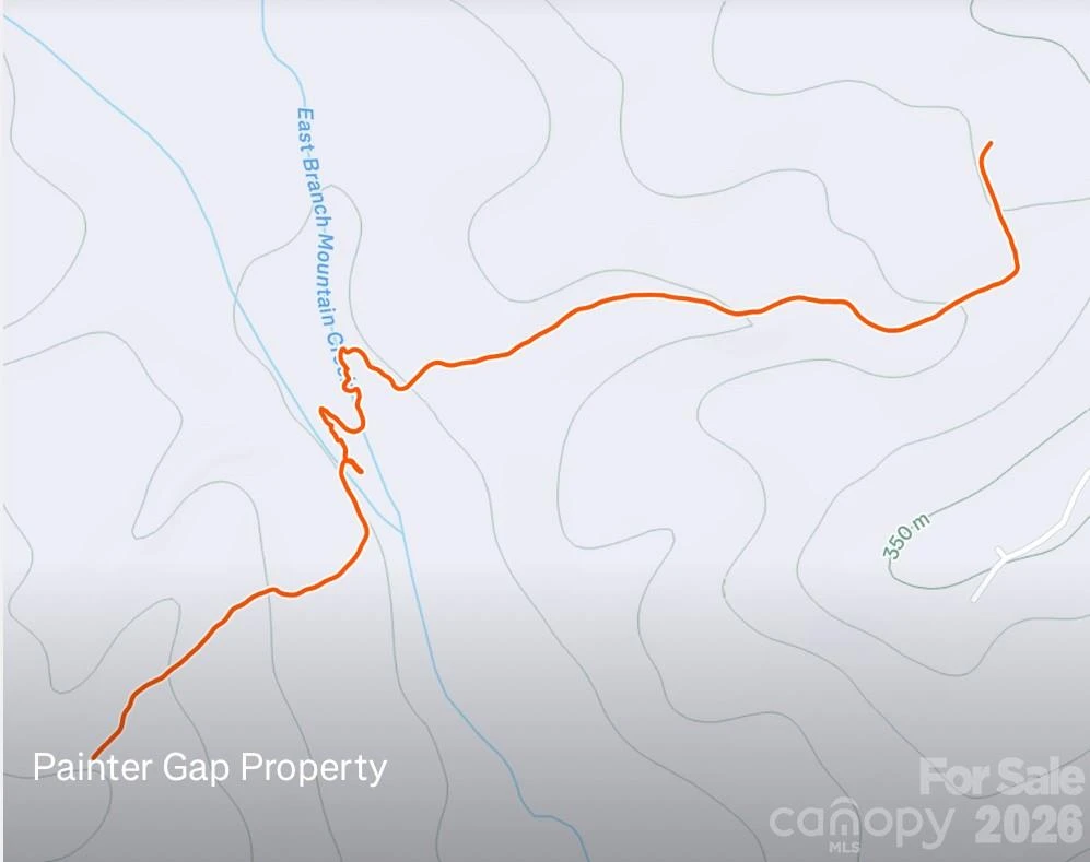 0 Painters Gap Road - Photo 24