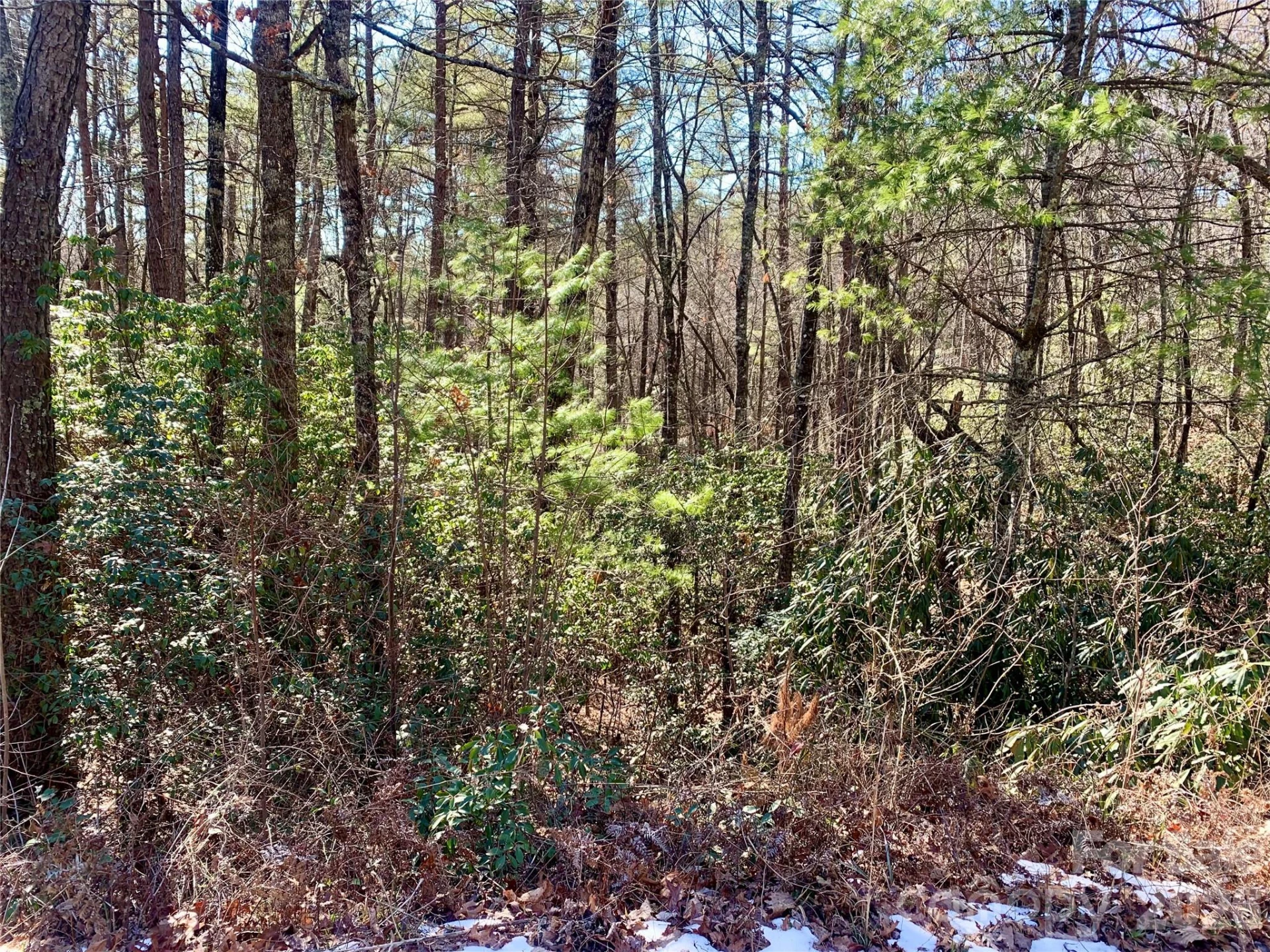 Lot 18 Oak Ridge Drive #18 - Photo 3