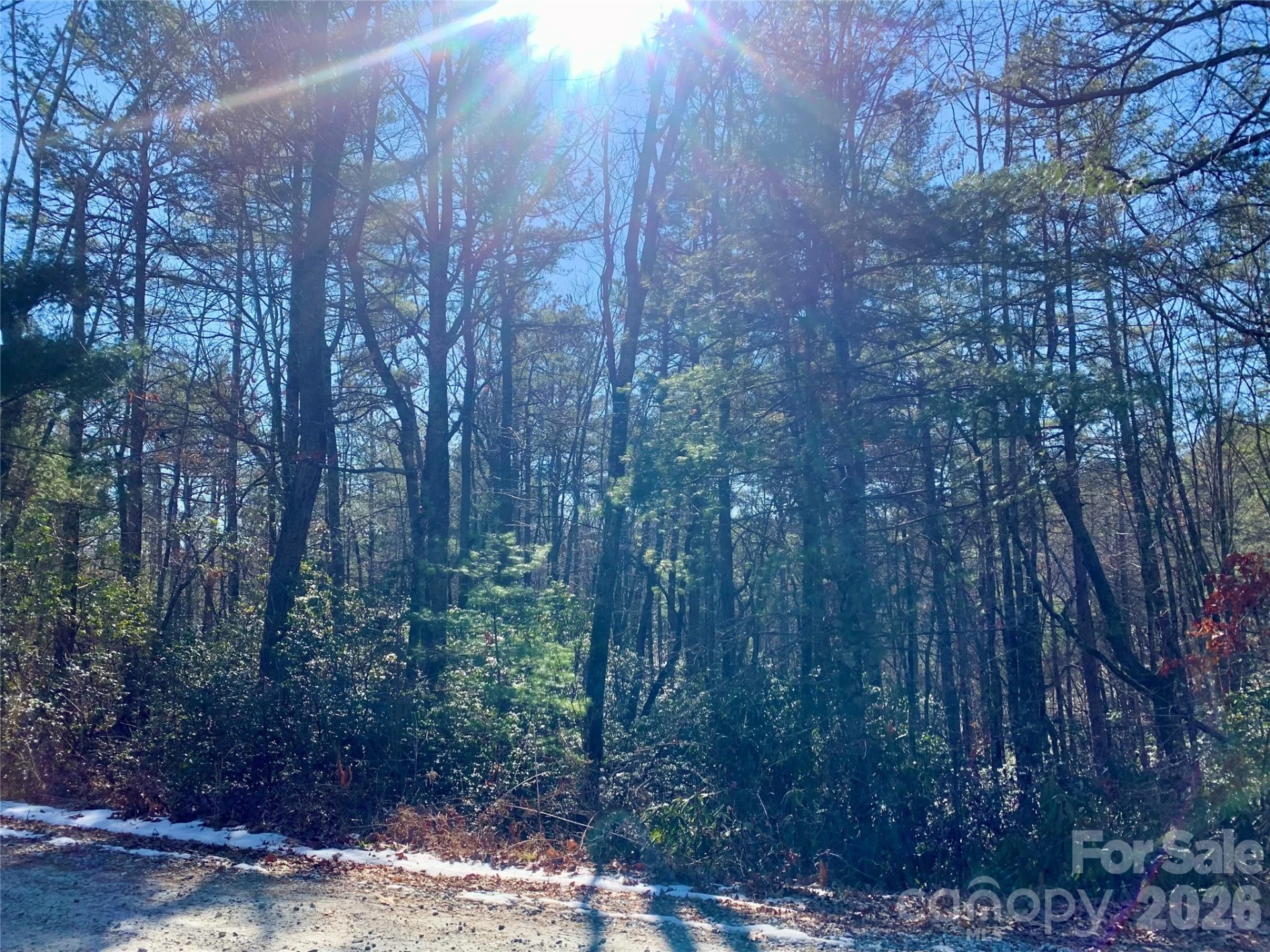Lot 18 Oak Ridge Drive #18 - Photo 6