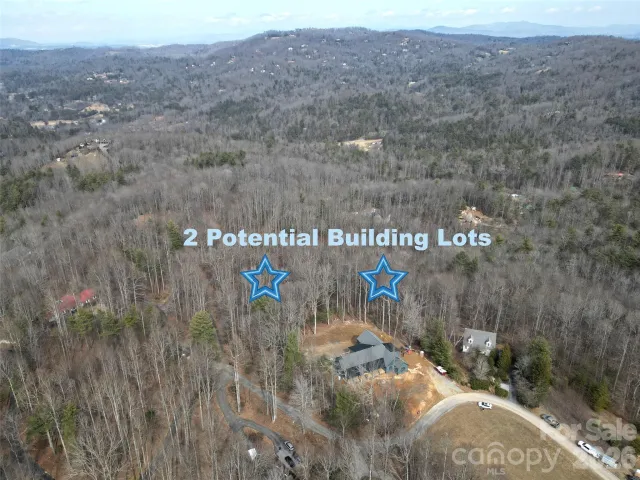 TBD Hickory Tree Lane, Hendersonville, NC, 28739