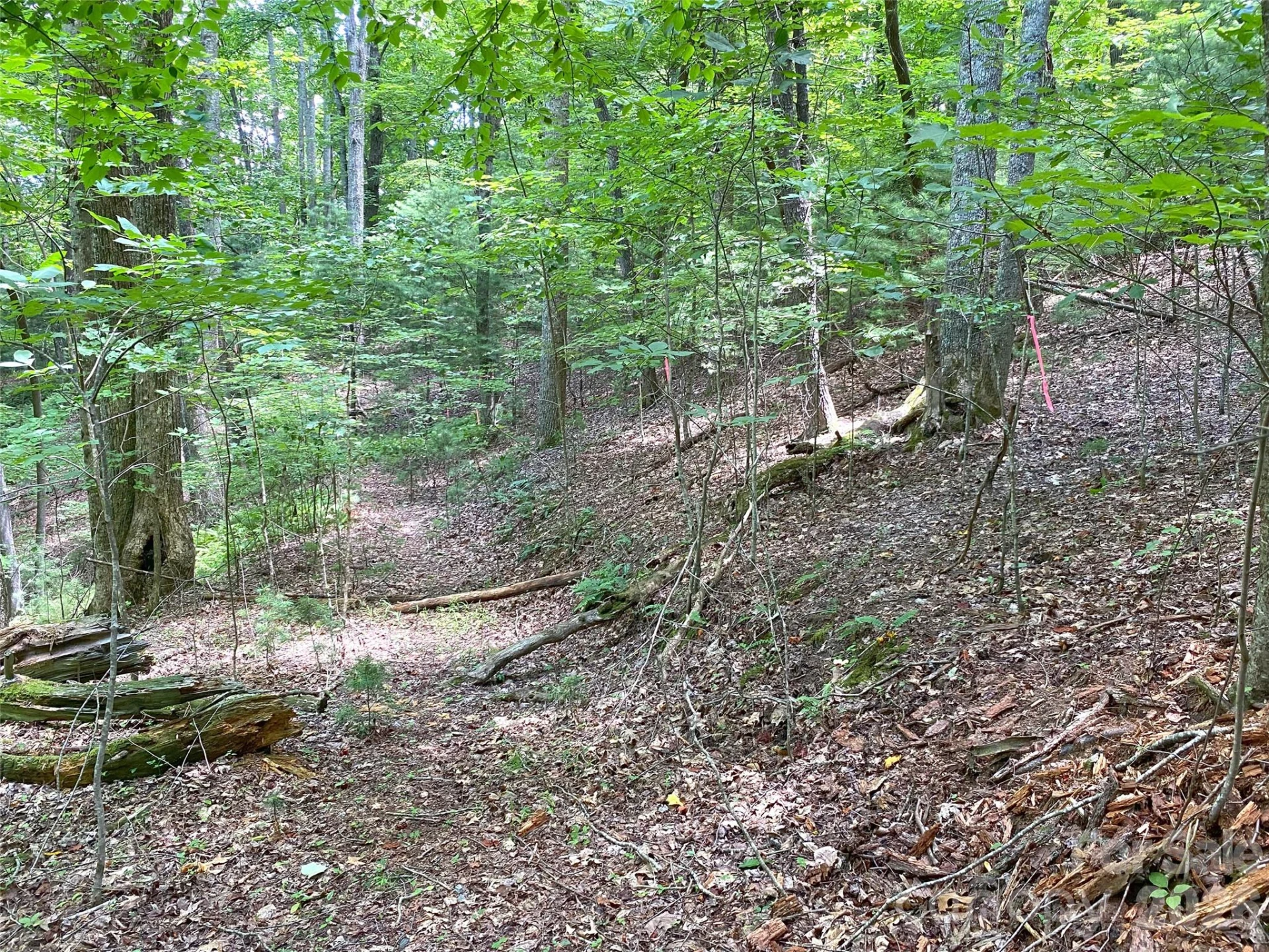 TBD Hickory Tree Lane #23/#28 - Photo 9