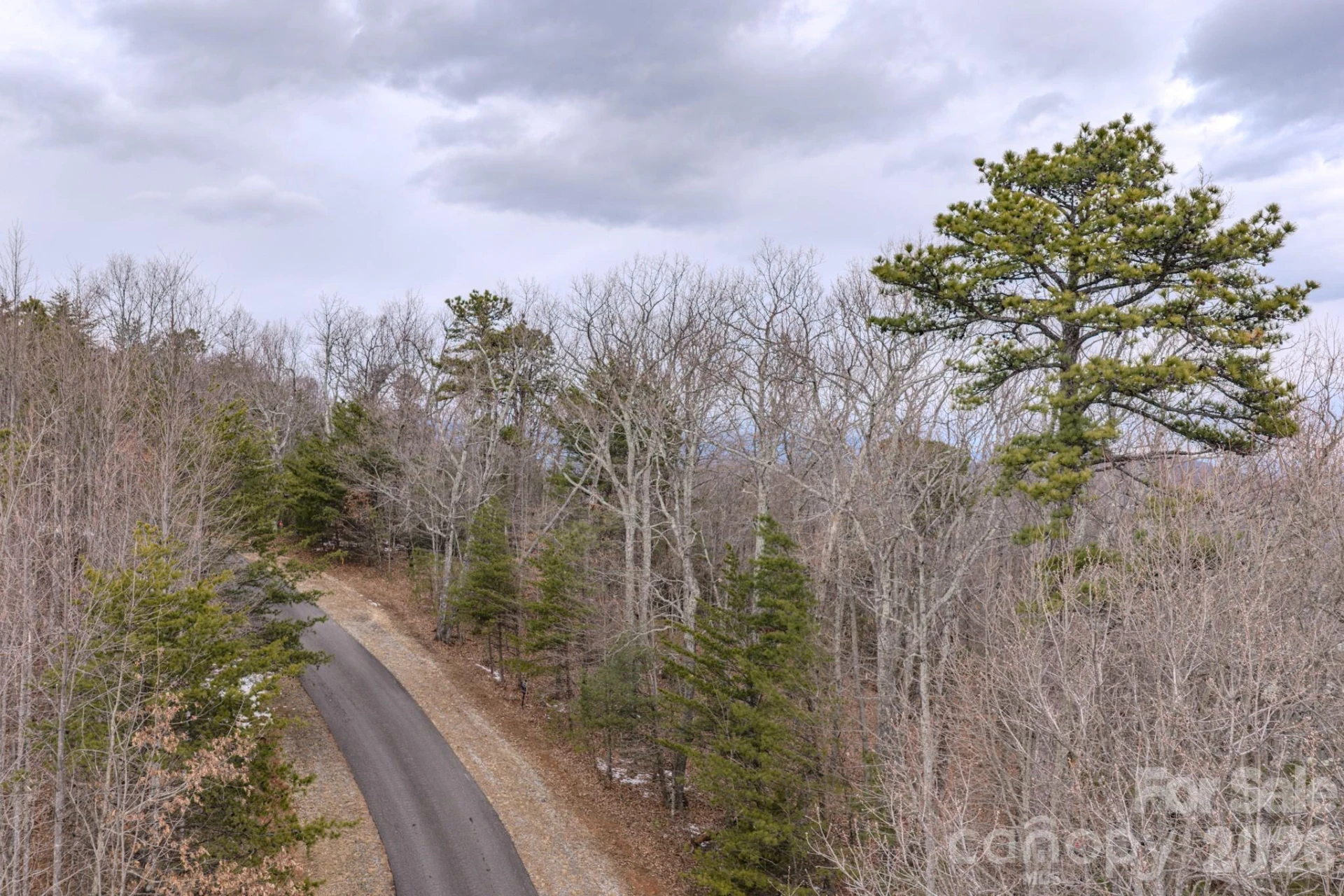 2724 Mountain Crest Drive S #75 - Photo 3